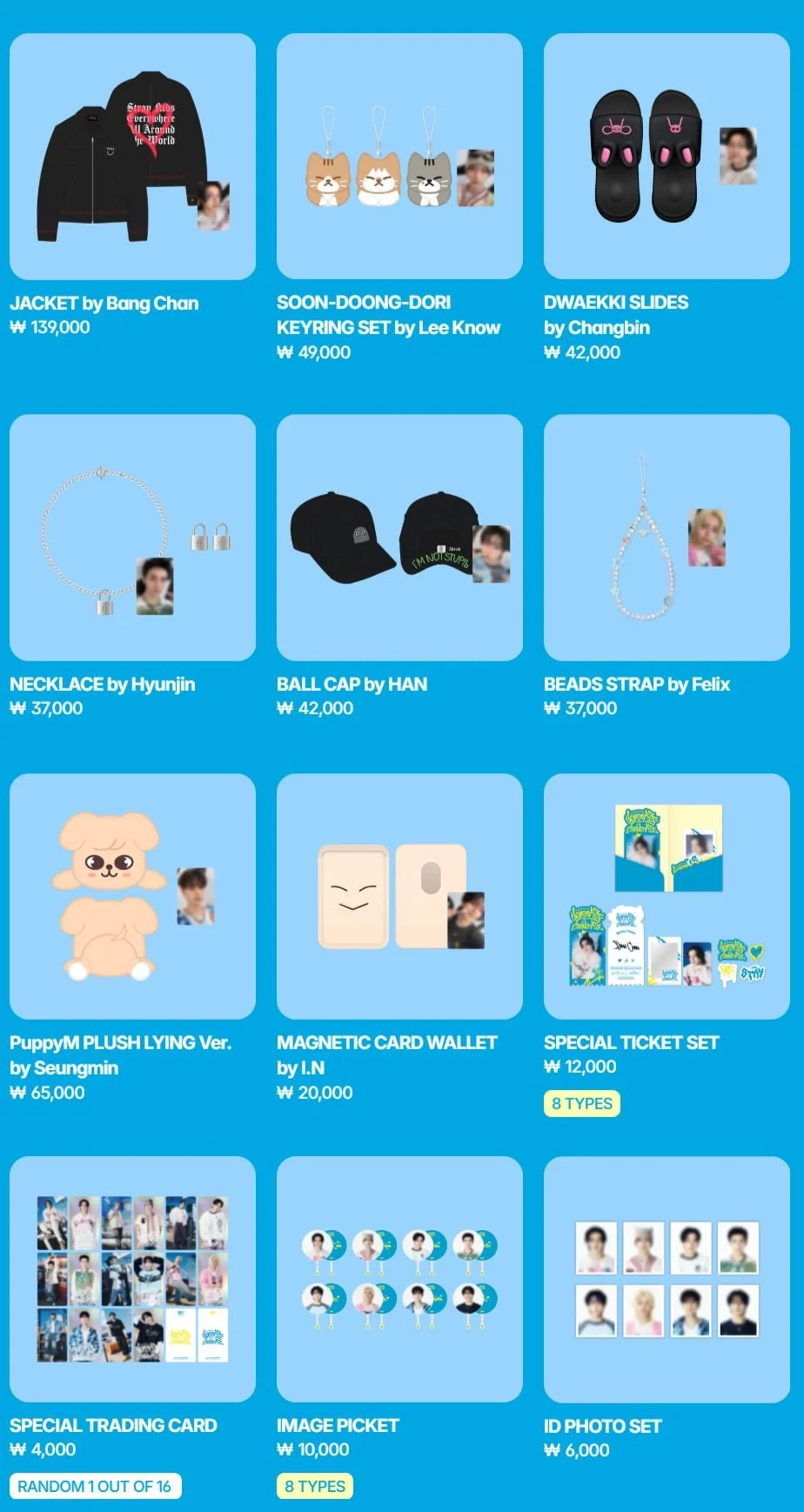 Official preorder Stray Kids World Tour dominATE celebrATE POP-UP