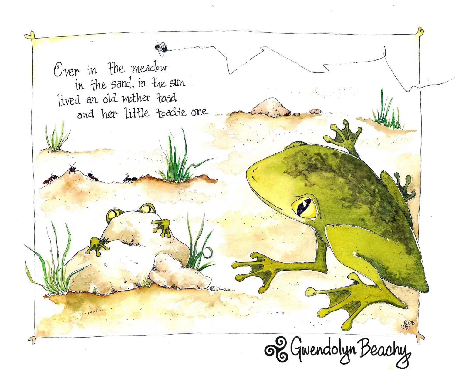 over-in-the-meadow-toad_1_2.jpg