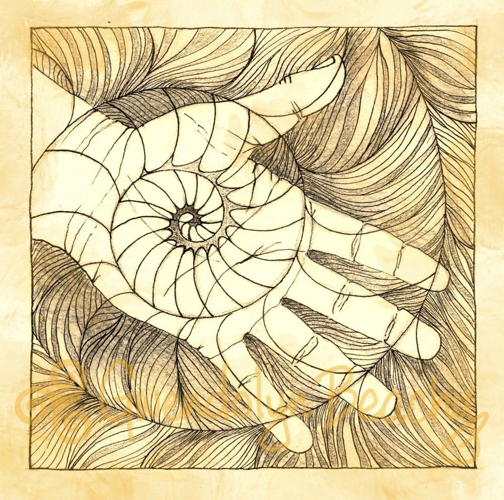 A Map of Time