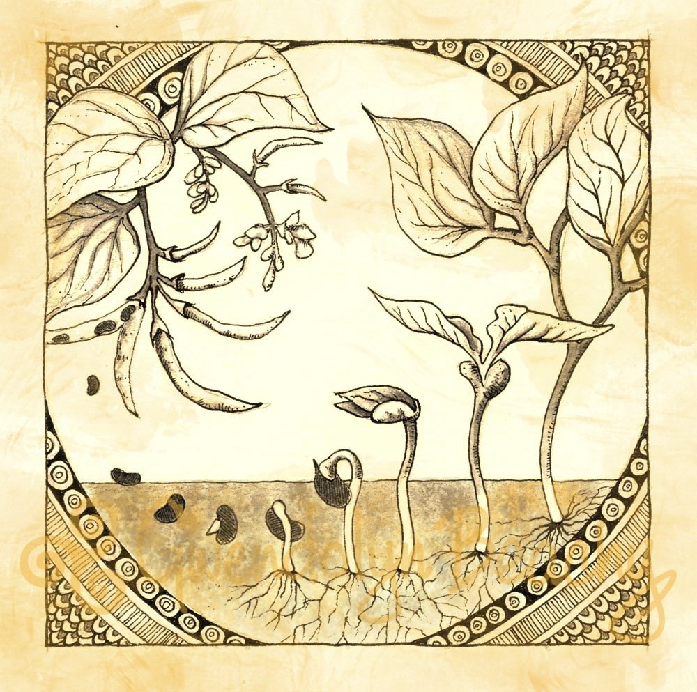 Earth-Magic_01.jpg