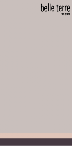 Screen Shot 2019-03-19 at 8.15.05 AM.png