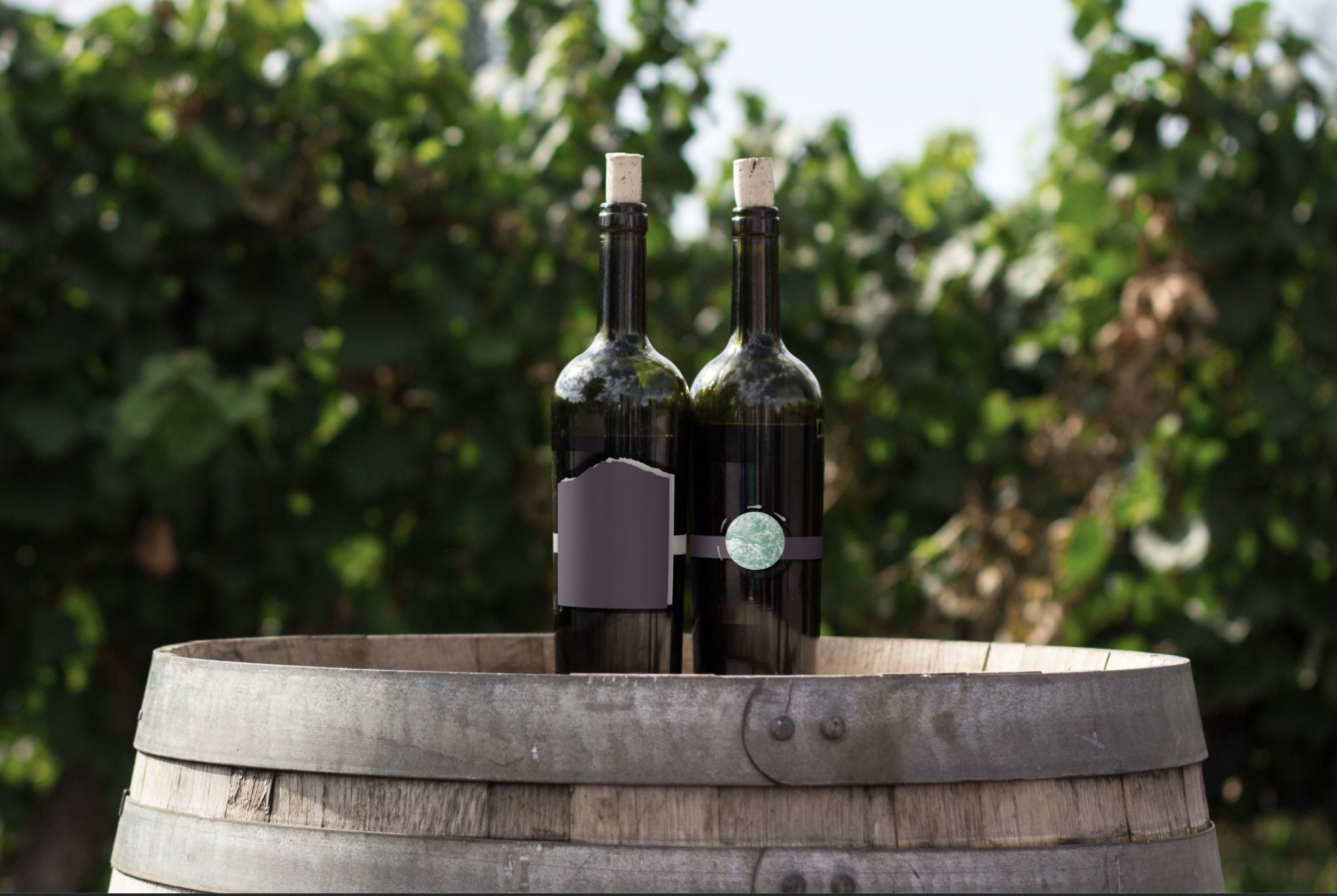 Screen Shot 2019-03-18 at 12.30.06 PM.png