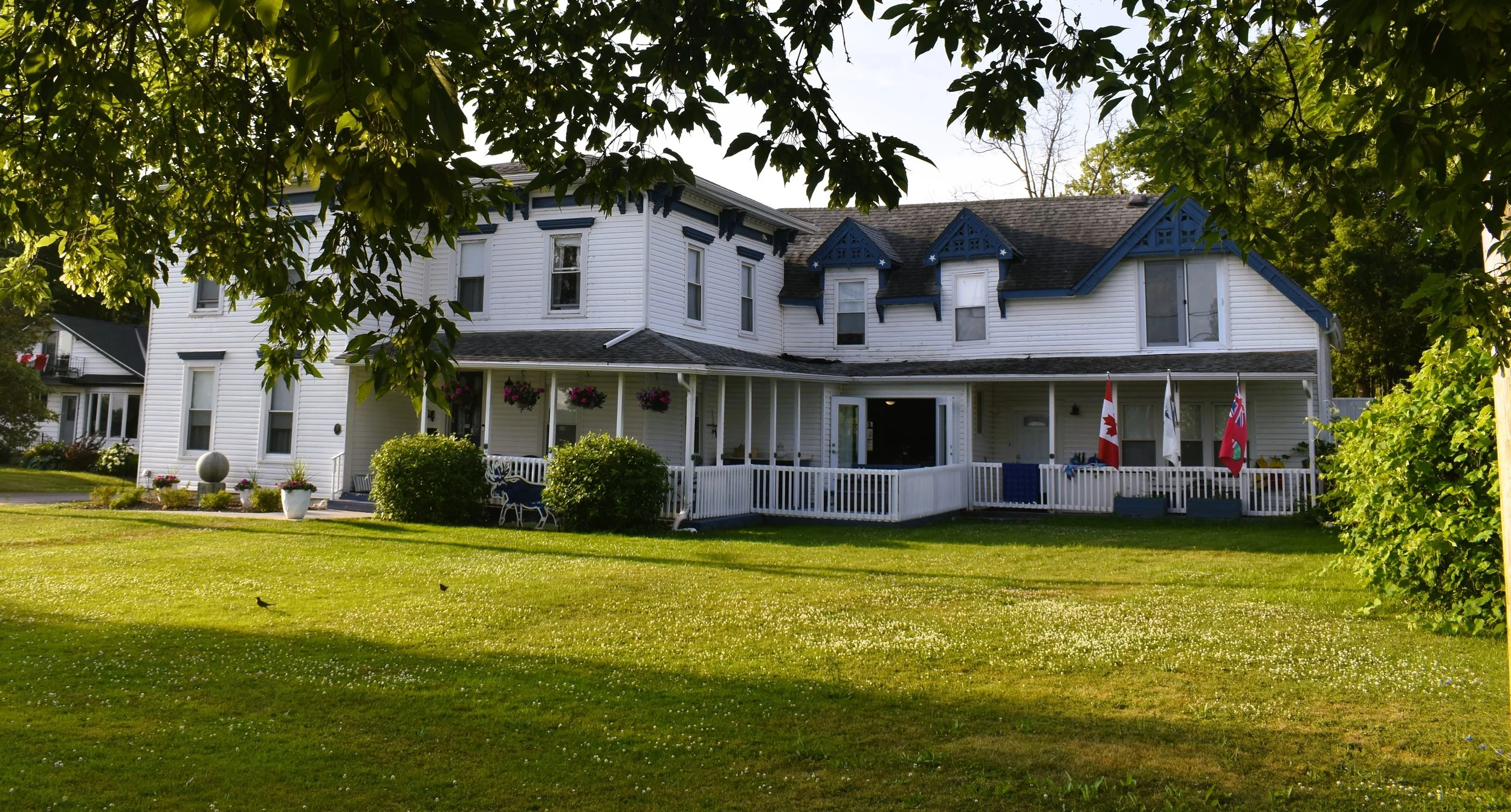 The Blue Moose with leaves cropped.JPG
