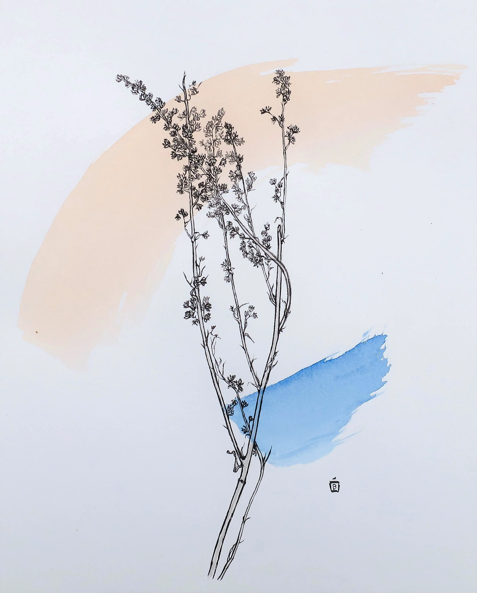 Skaha Bluffs, Original 8x10 inch drawing on paper