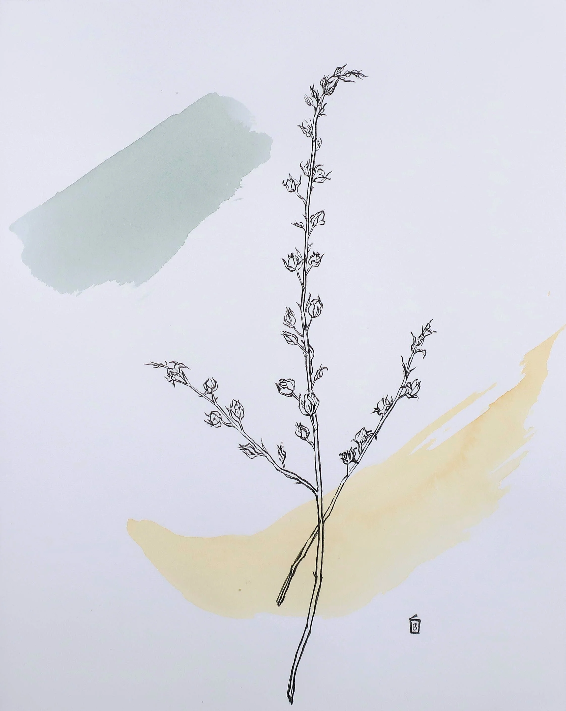 Nk'mip desert, Original 8x10 inch drawing on paper