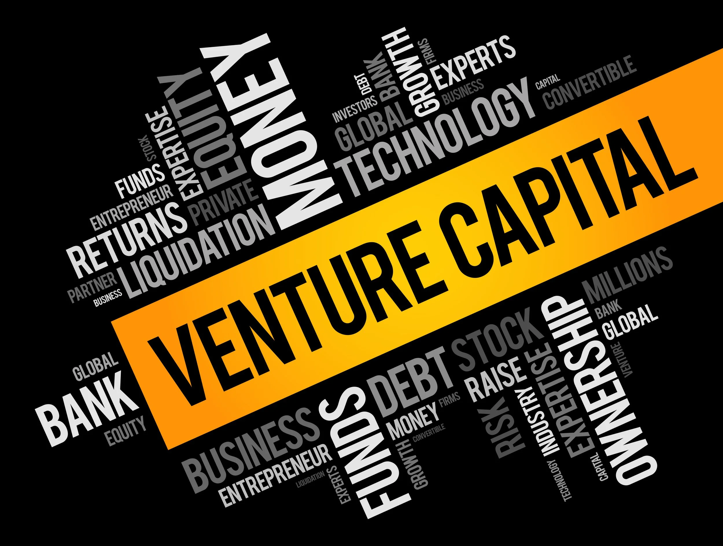 The VC Industry at a Crossroads: Navigating Through Uncertain Times