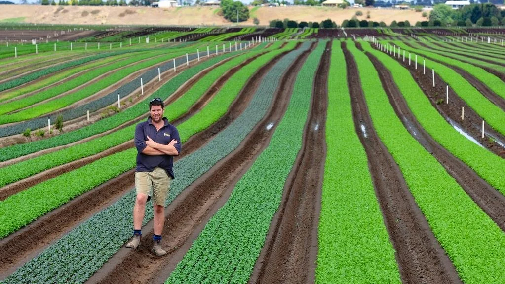 Middle East start-up that grows food in the desert raises $60 million in funding