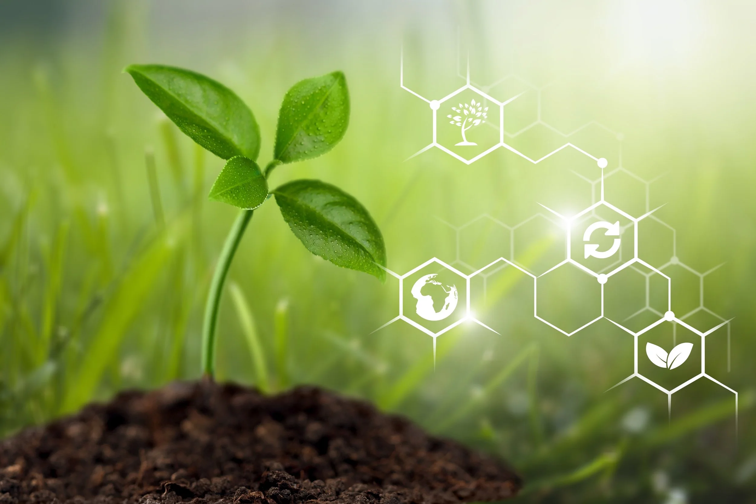How biological batteries may use soil to create sustainable energy.