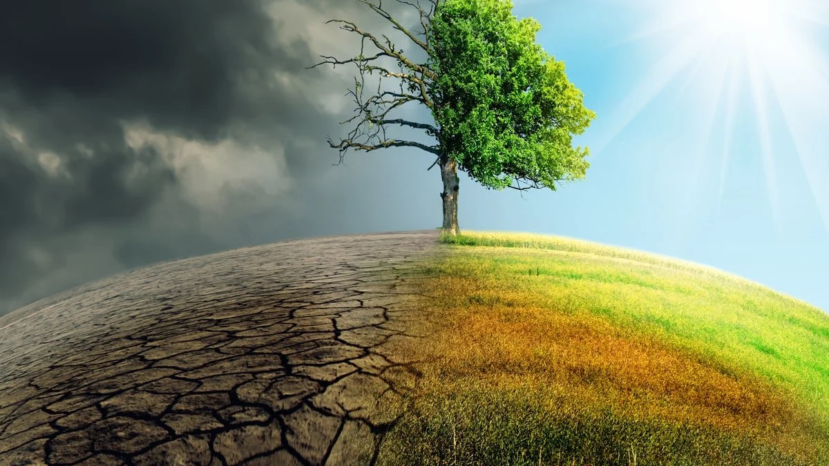 The SEC climate rule: 7 things investors need to know