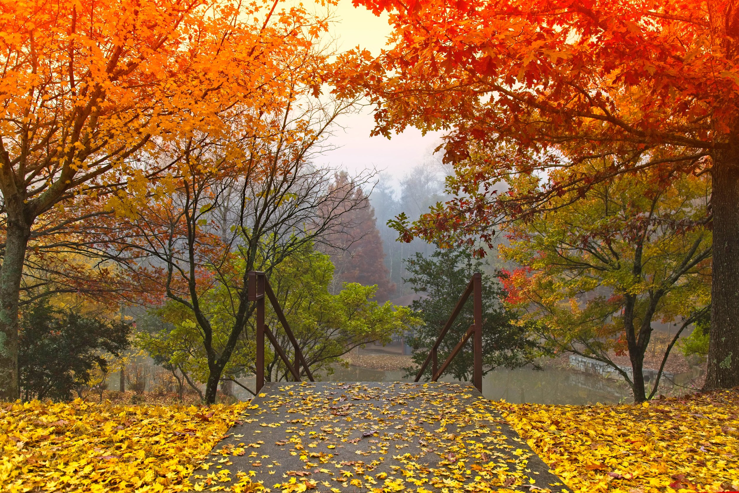 The worst September since 2008 How that affects October