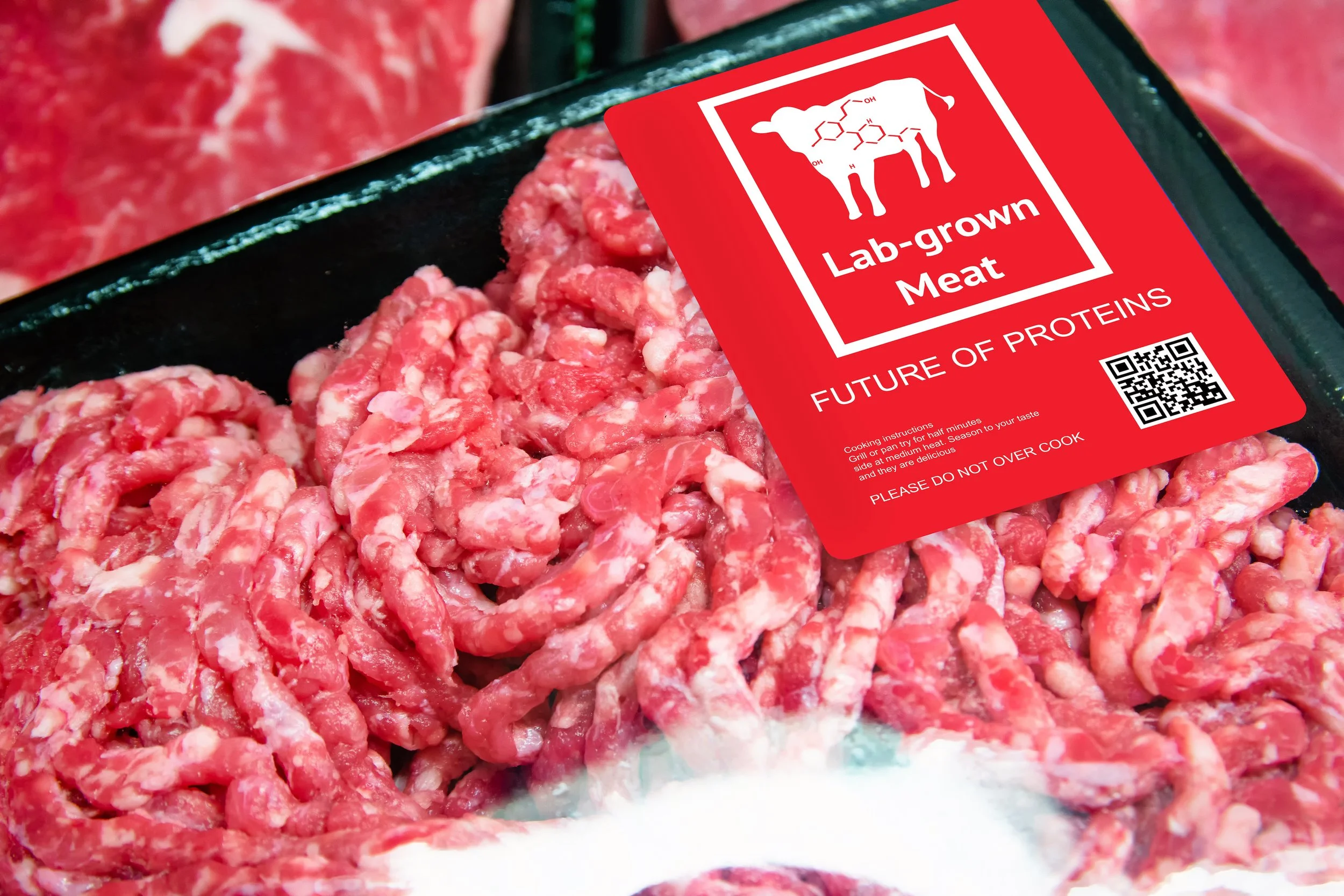 Why aren't companies selling slaughter-free meat?