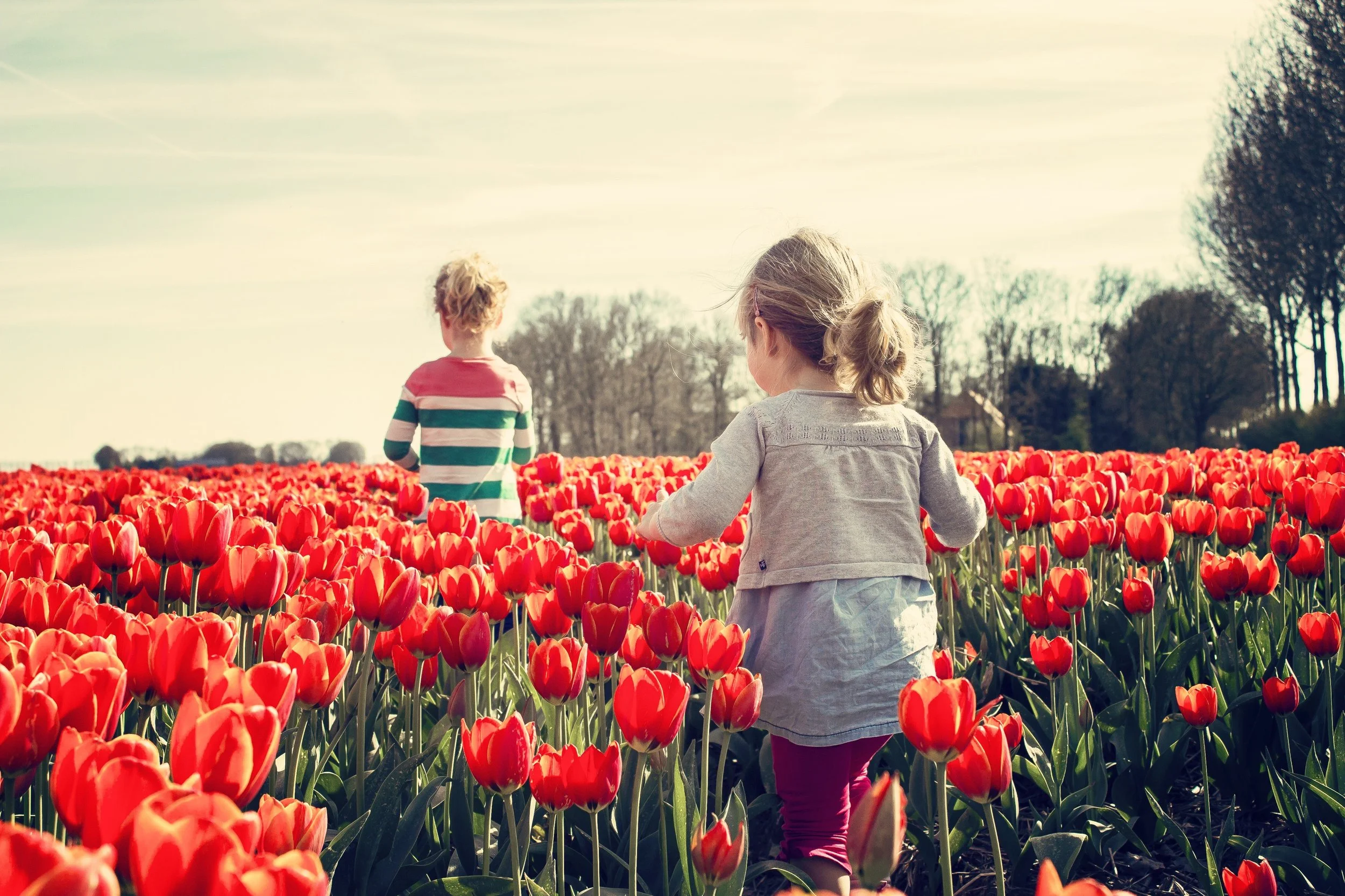 The Spring 2023 Crisis and What Can Be Done About It