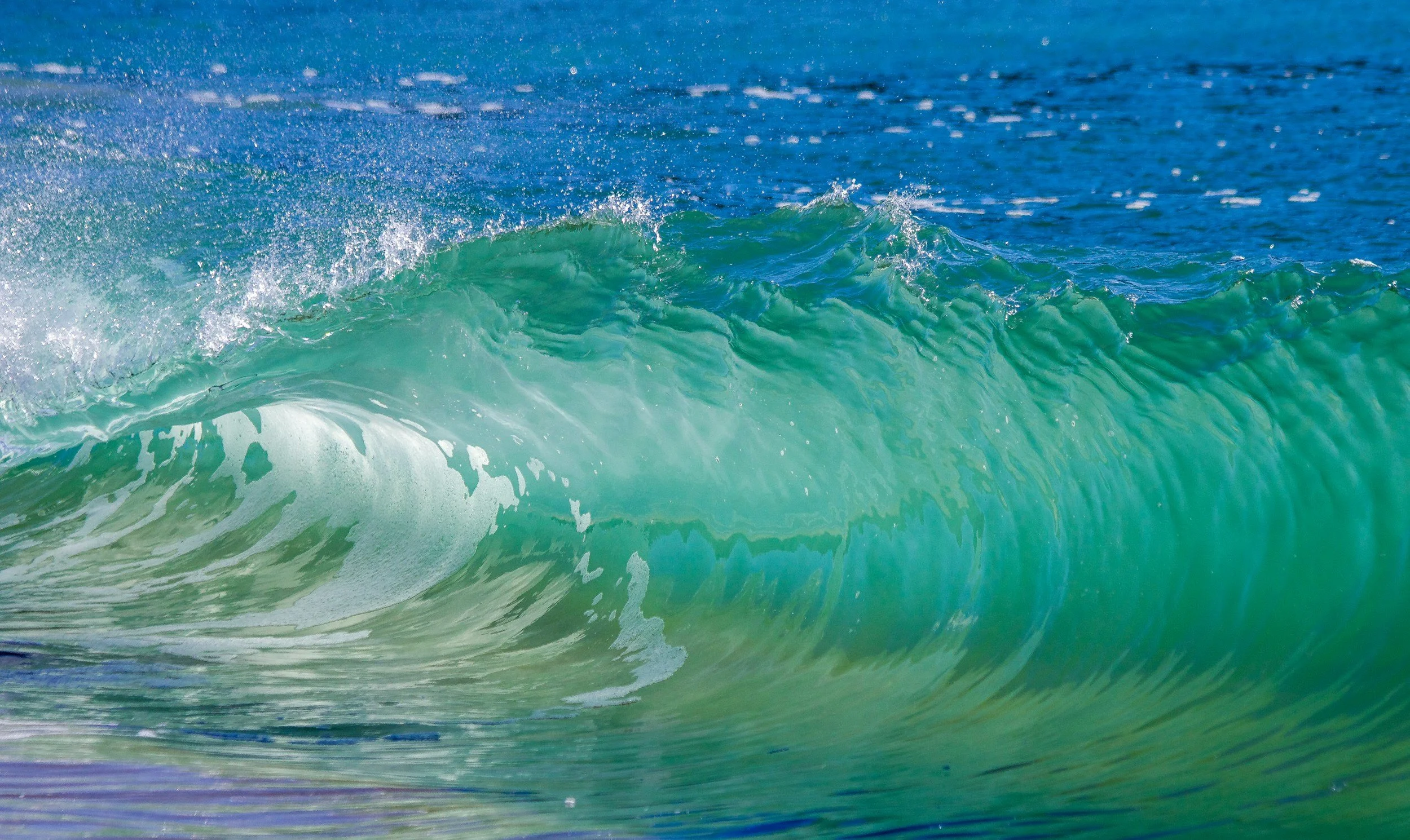 Riding the Green Wave: How Incumbents Can Capitalize on Climate Tech's Trillion-Dollar Potential