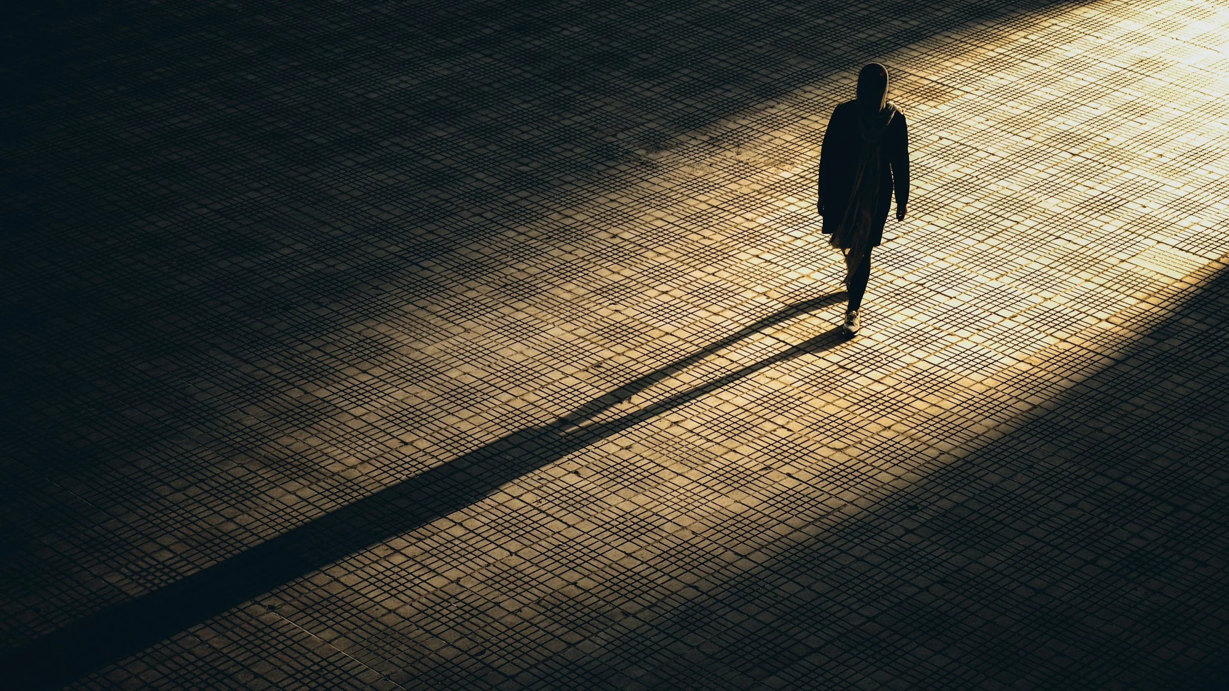 Navigating the Shadow of Giants: How Businesses Survive in the Age of "Superstars"