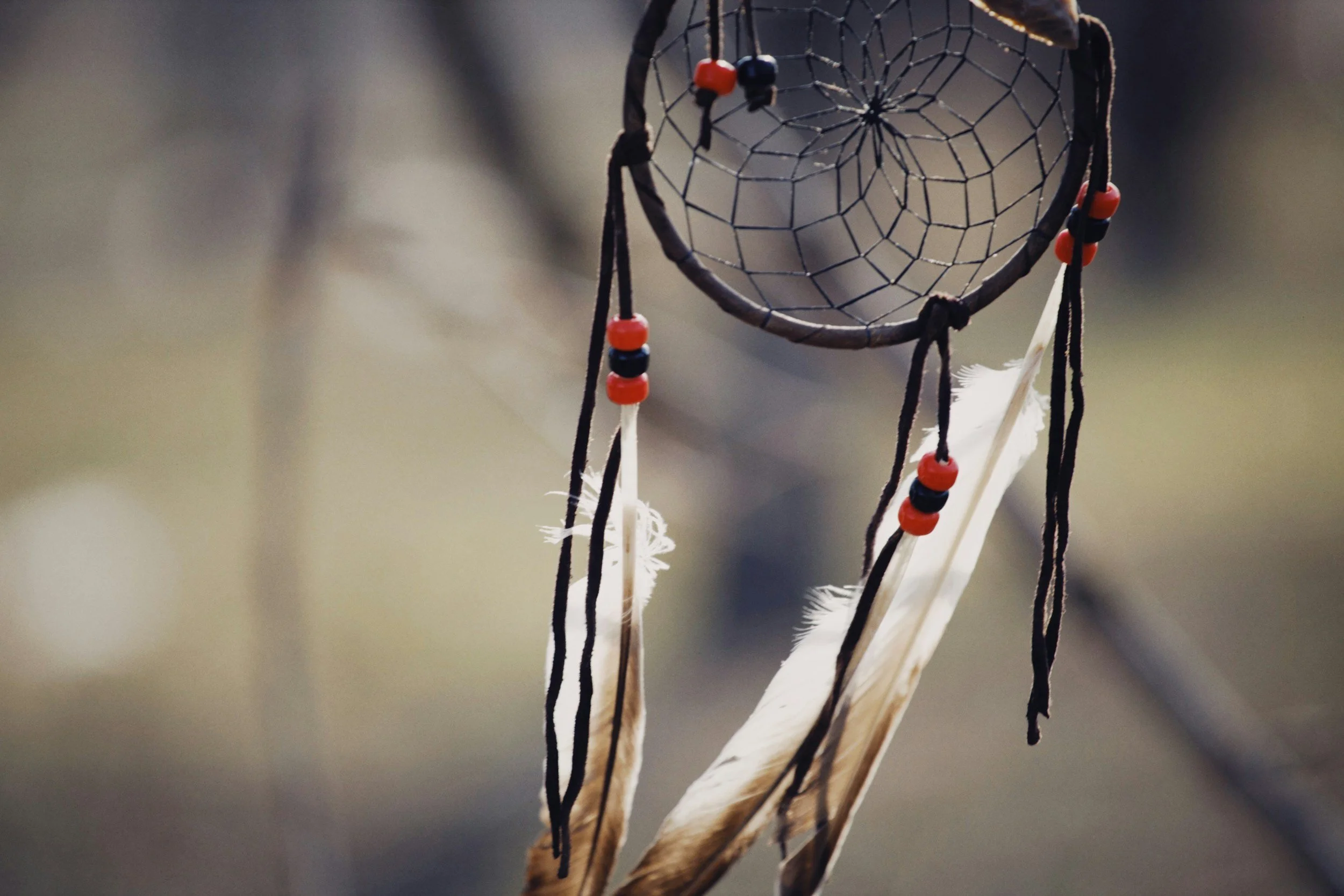 The Rise of the AI Native: Navigating a Generational Shift in the Workforce