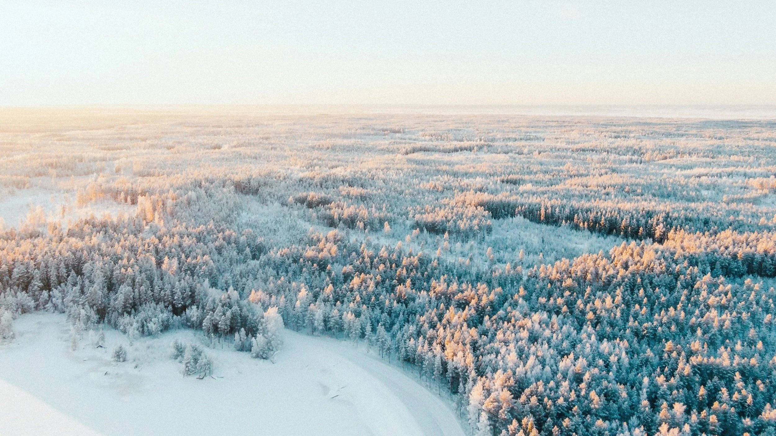 Finland’s Bioenergy Shift: Transforming the Forest Products Industry