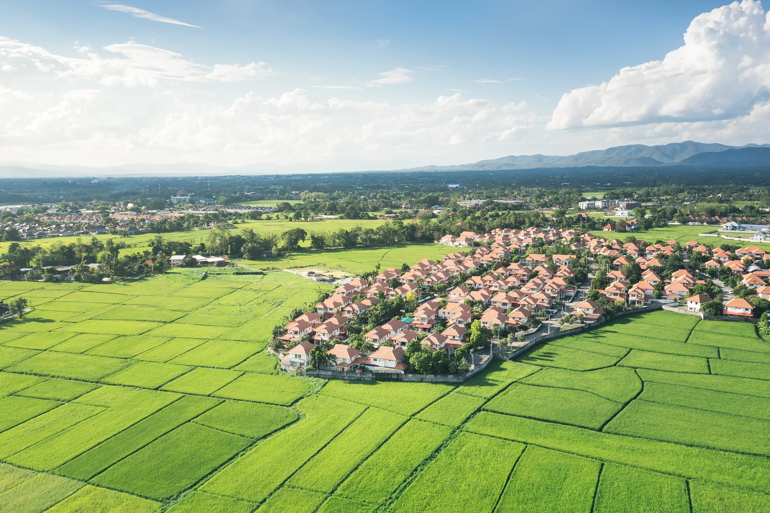 Europe’s Forestry Investment Outlook to 2035