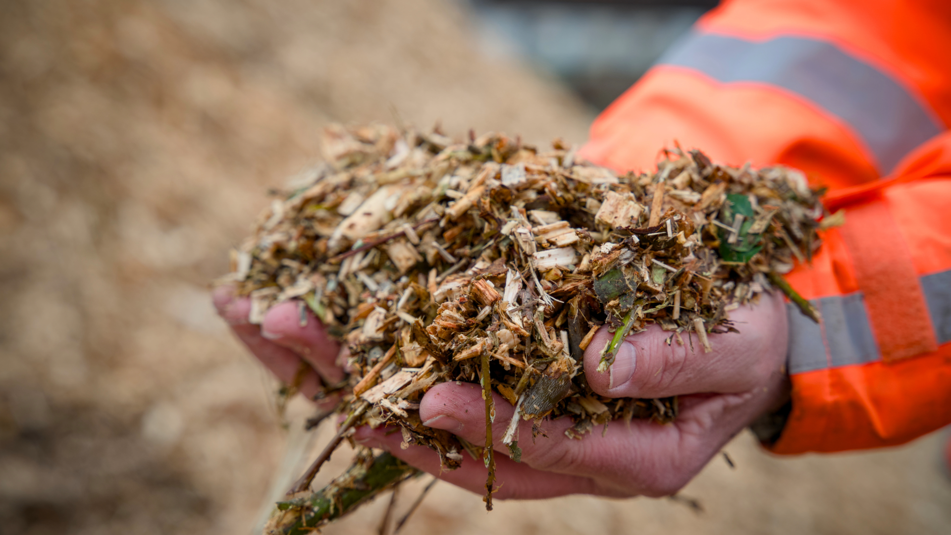 Biomass Energy: Bridge Fuel or Policy Dead‑End?