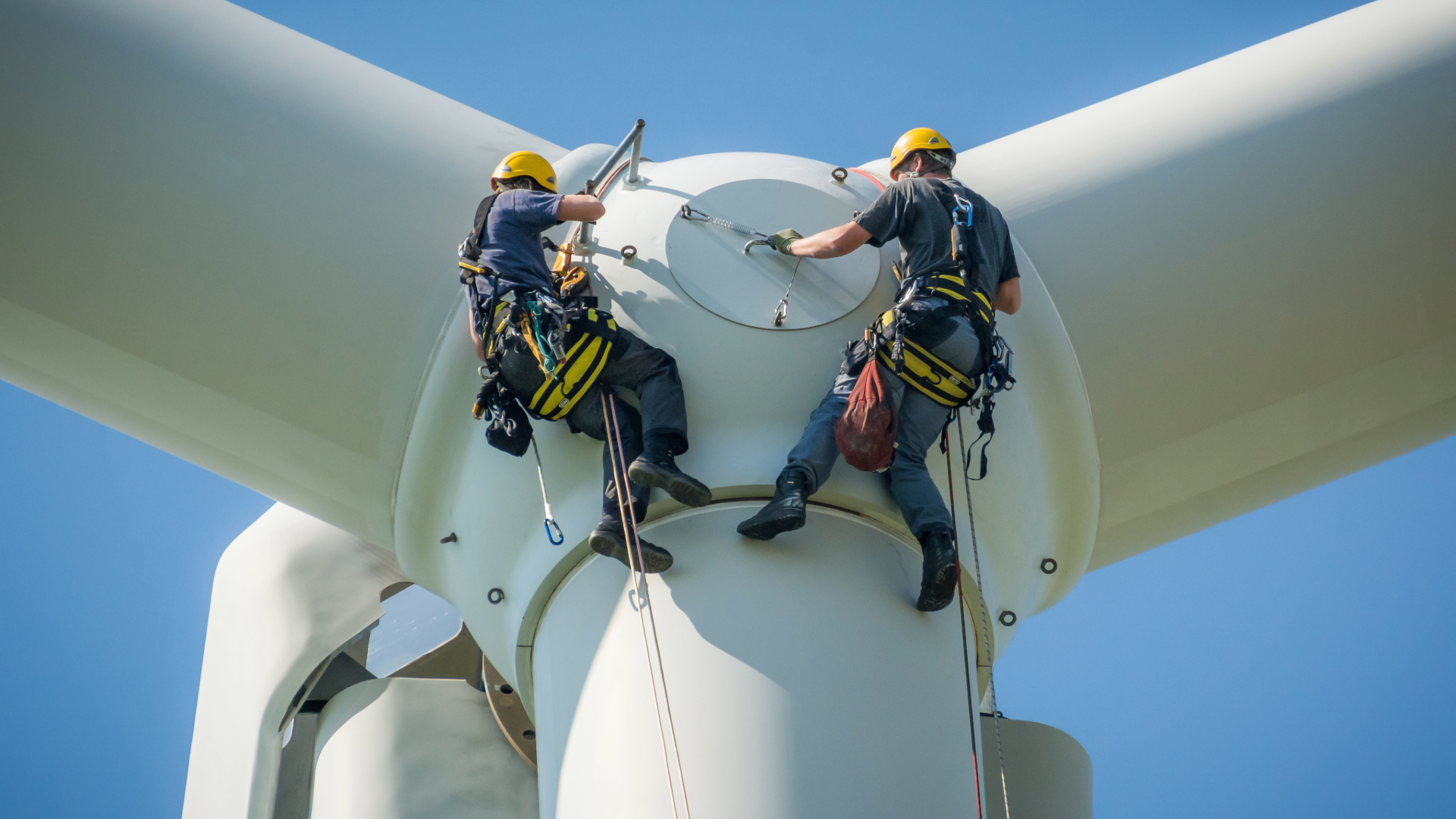 Wind Power in the North Sea: Cost Trends and Auction Dynamics