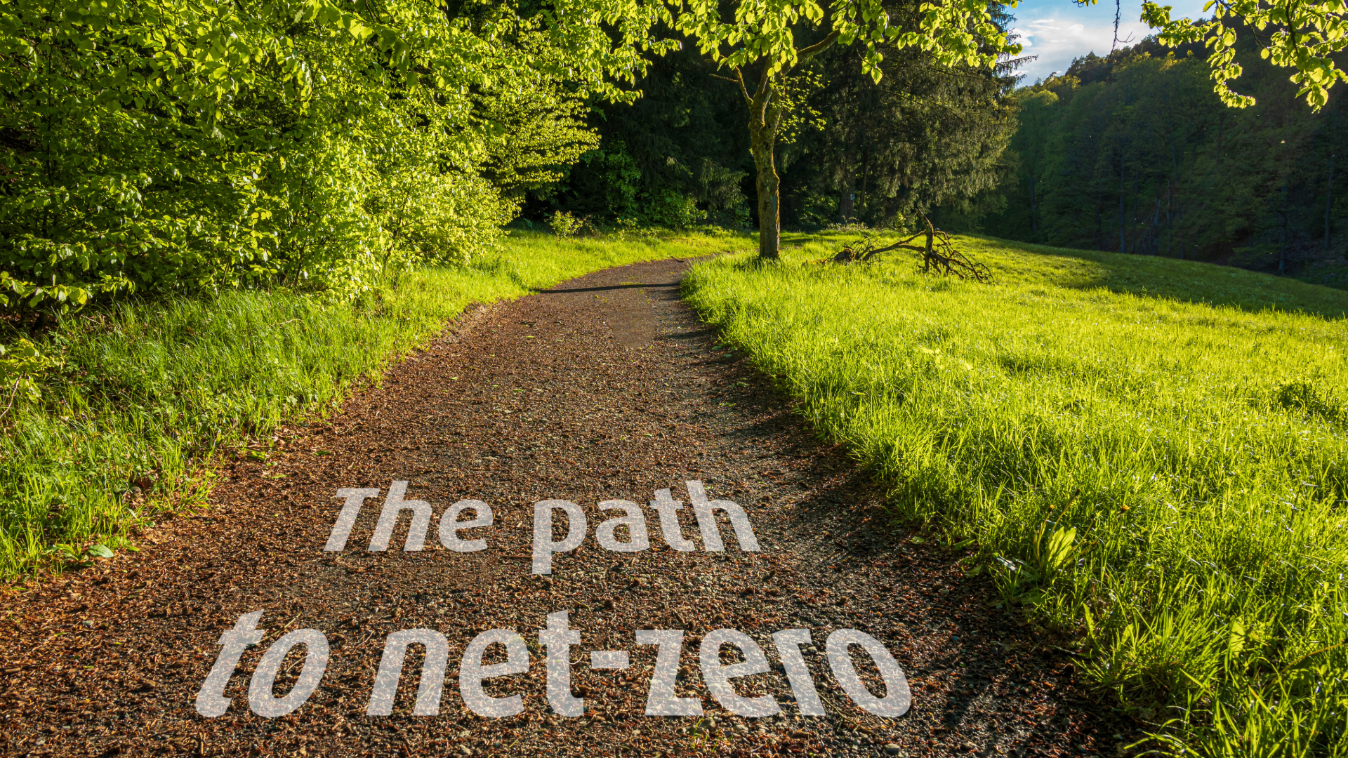 Net Zero 2050: Policy Gaps, Delays – And Why They Matter Less Than The Direction