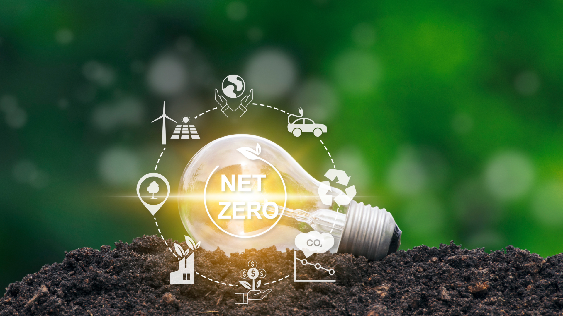 Net Zero 2050: The Role of Private Capital