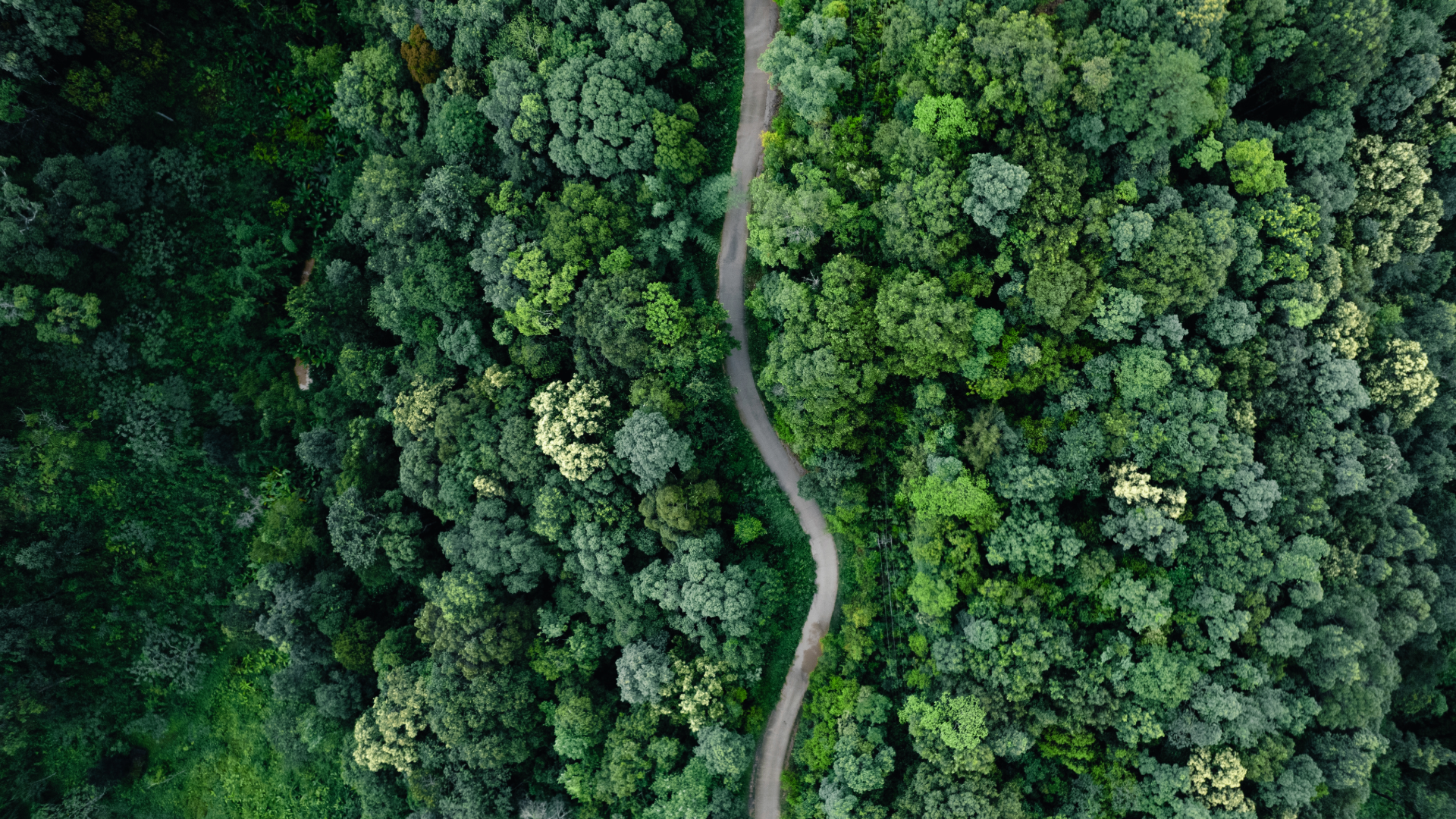 Net Zero 2050: Are Countries on Track?