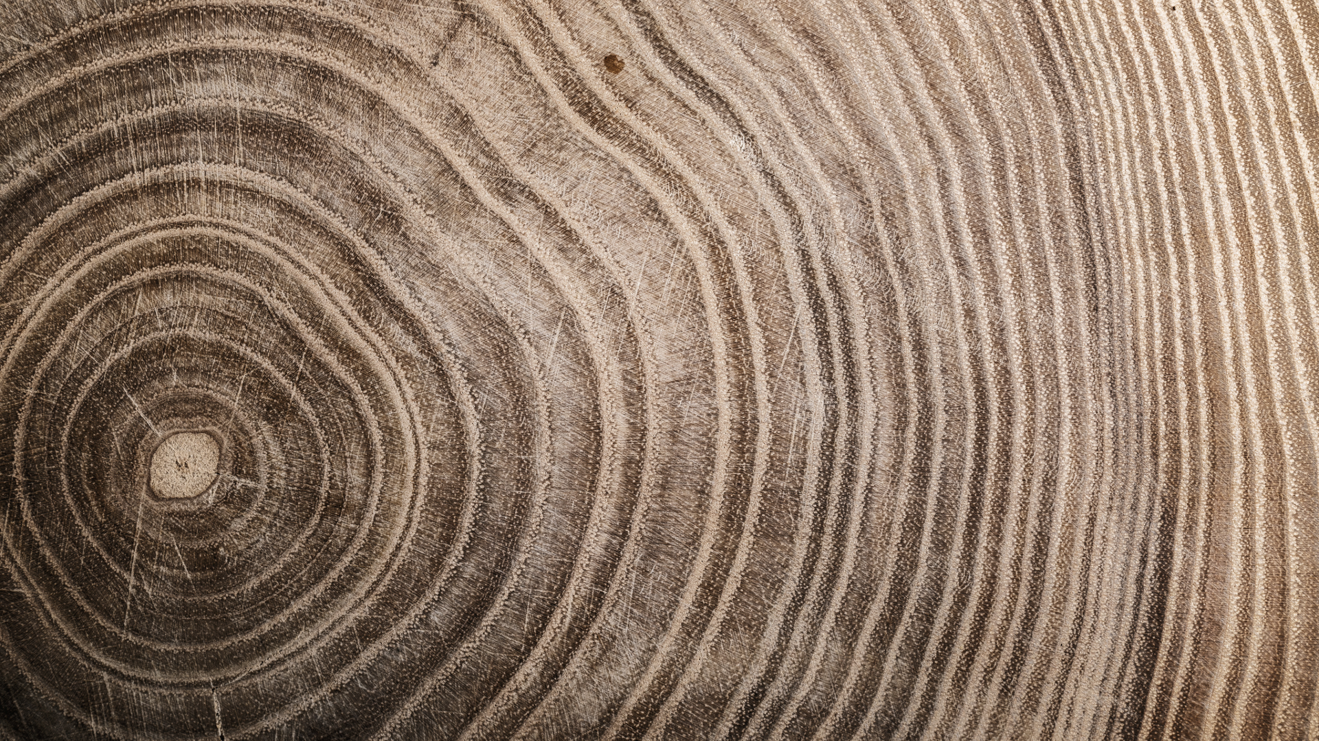 Carbon Markets: Forestry as a Carbon Sink