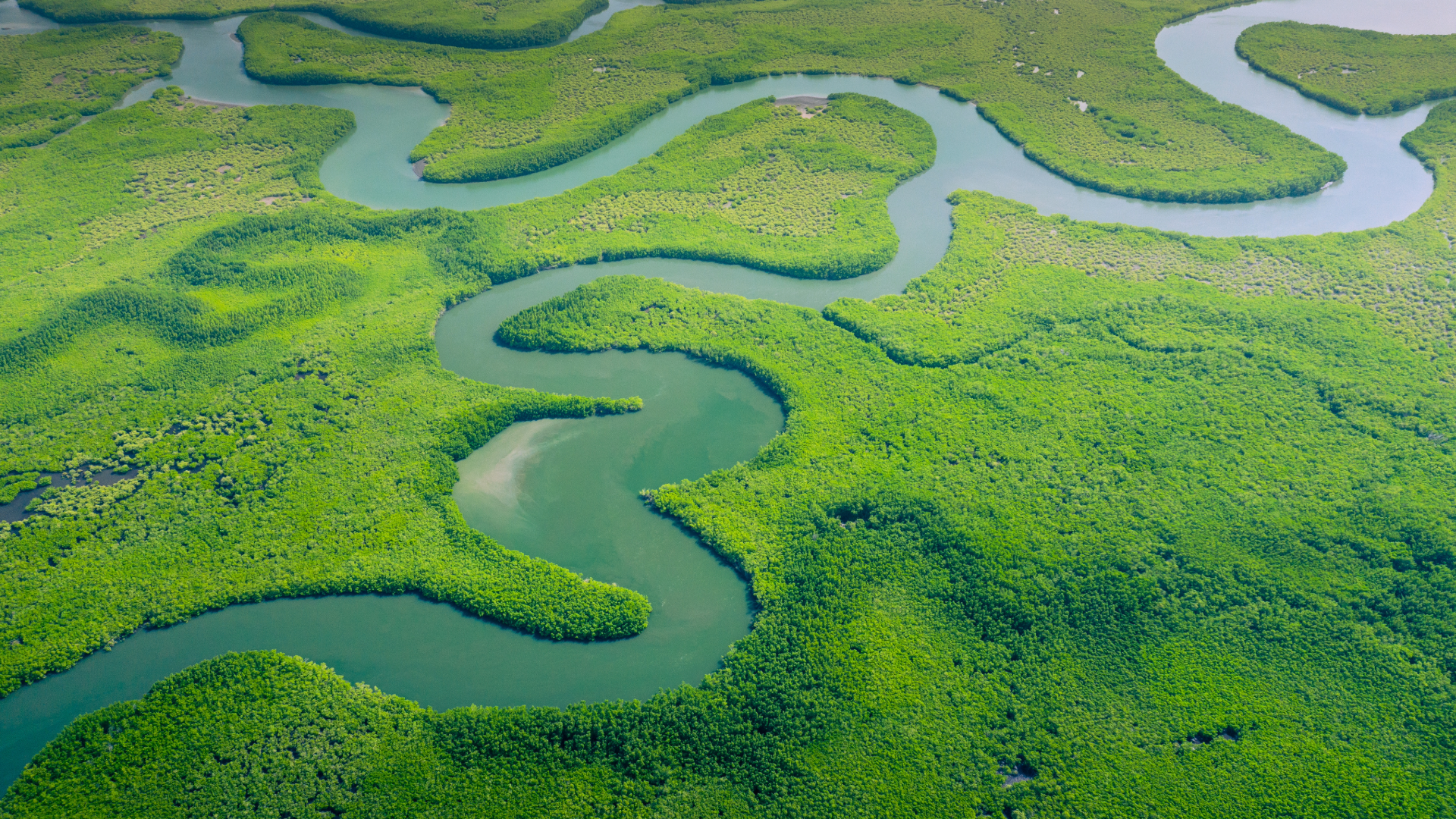 Deforestation vs Reforestation: The Amazon Factor