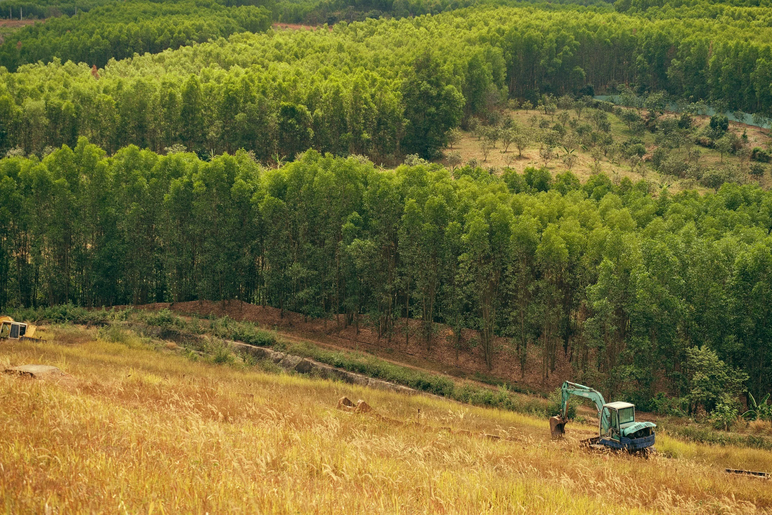 Land Use Competition: Energy, Agriculture and Forestry