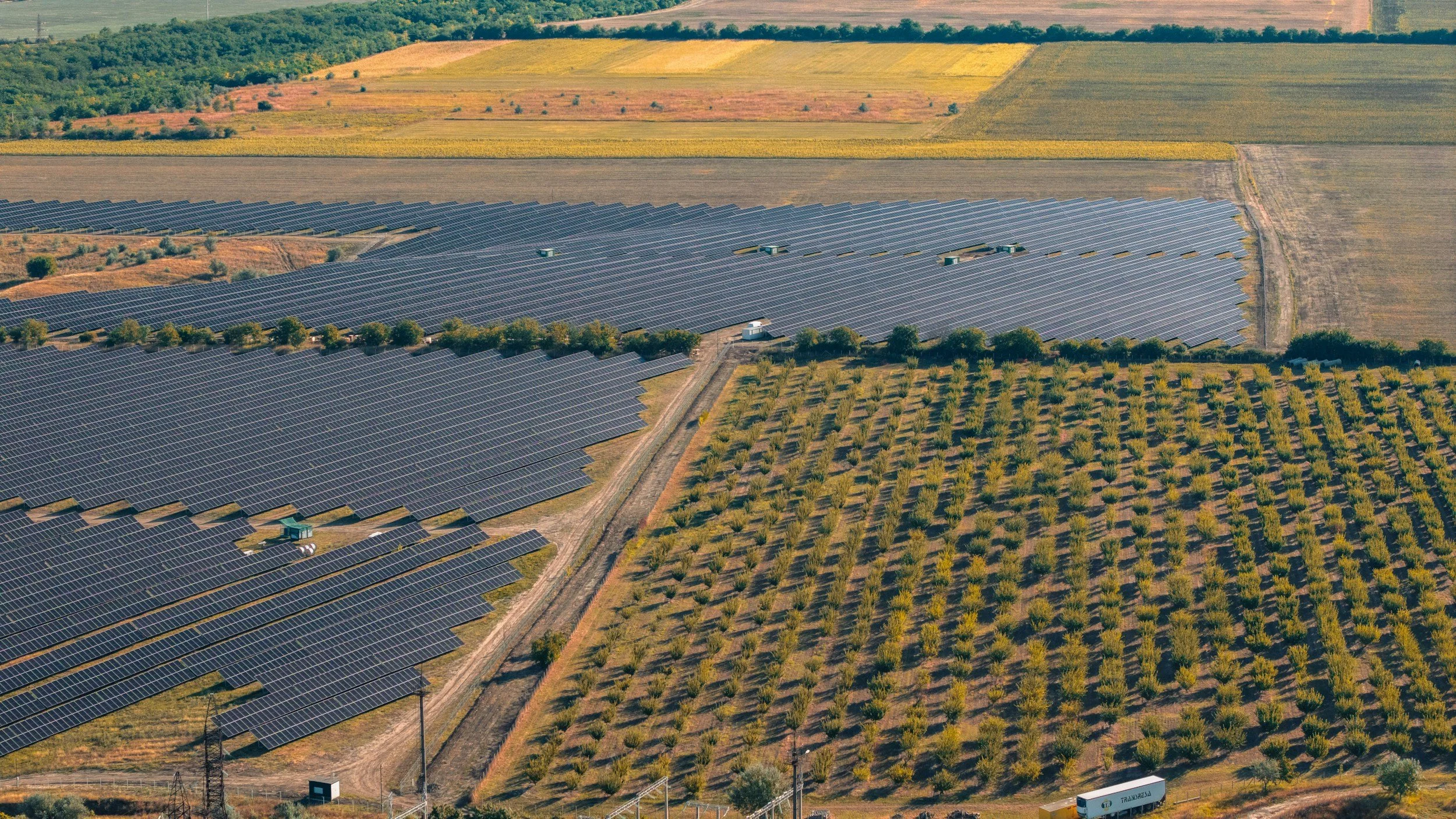 Energy, Agriculture and Forestry — Long-Term Implications