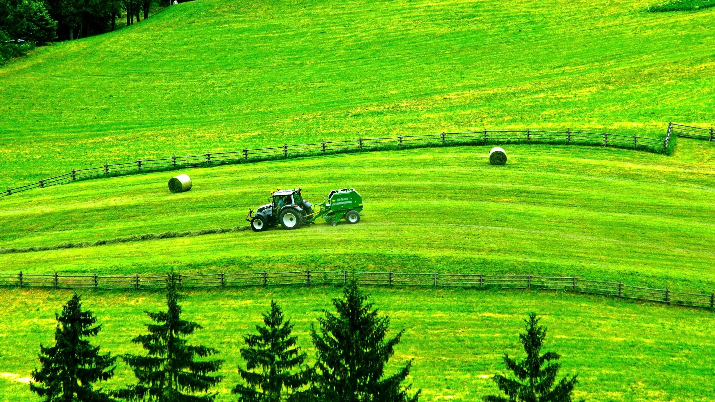 Competing Demands for Land: Energy, Food and Forestry