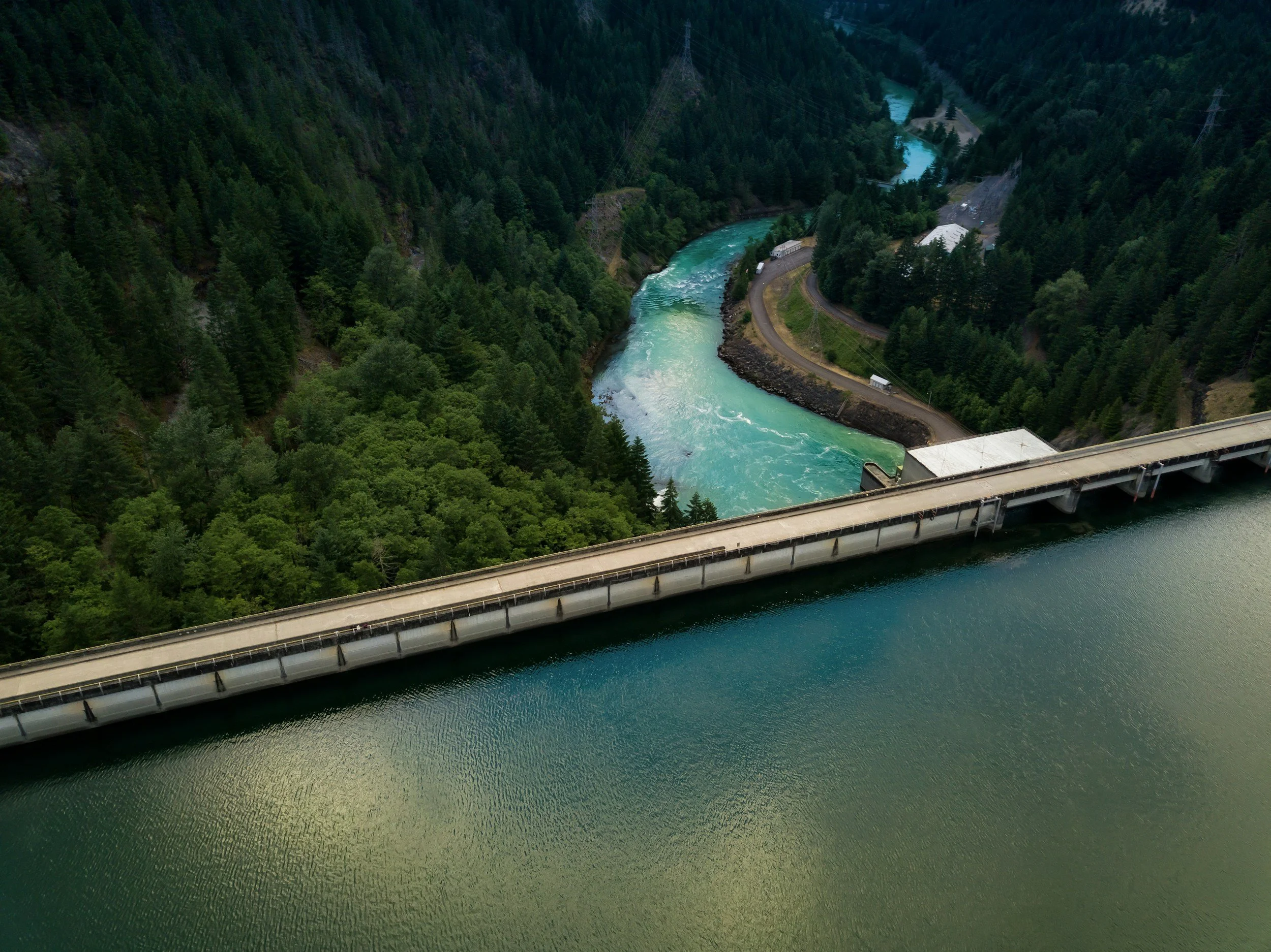 forestry, restoration, sustainable agriculture and water resilience