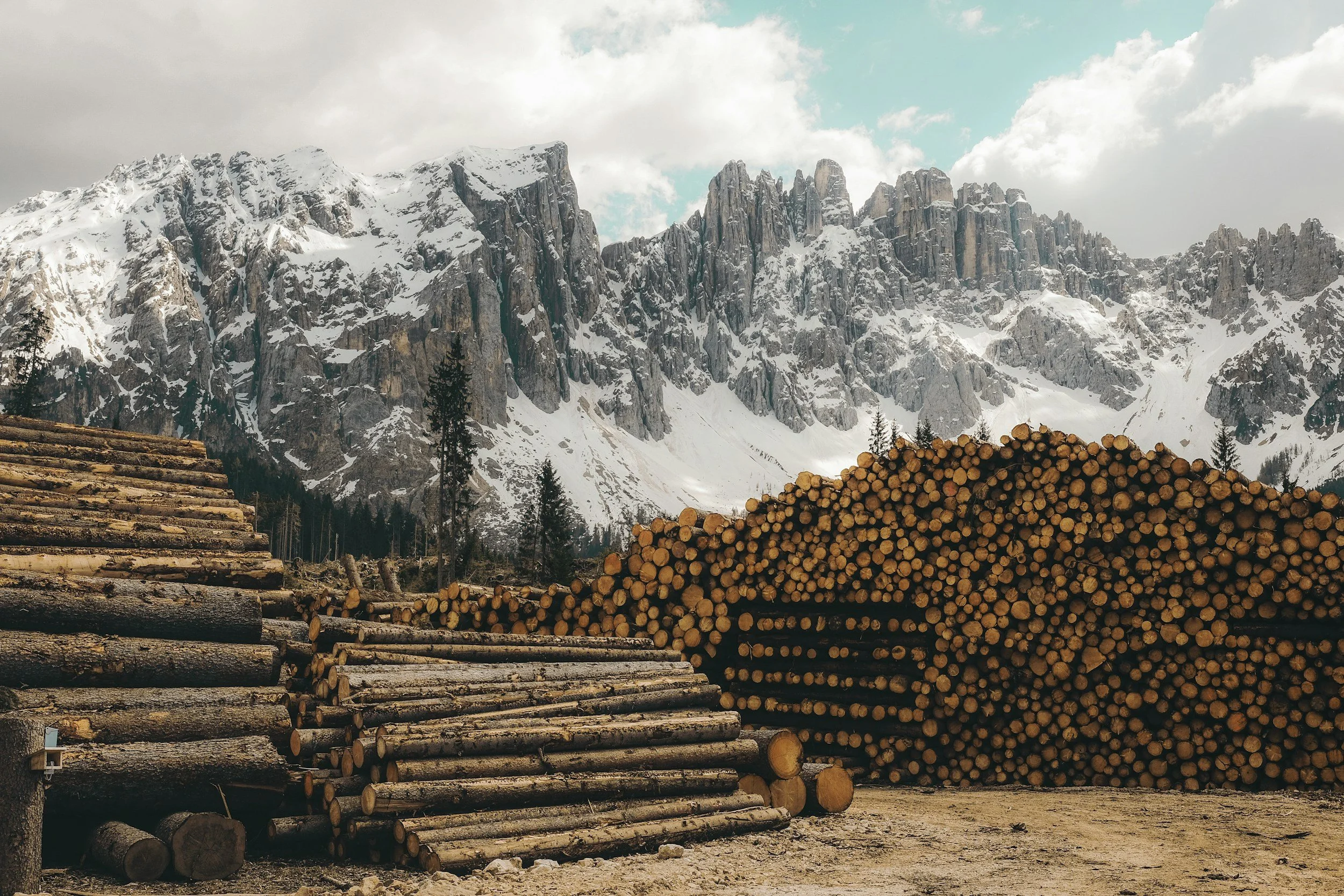 forestry, restoration, sustainable agriculture and water resilience