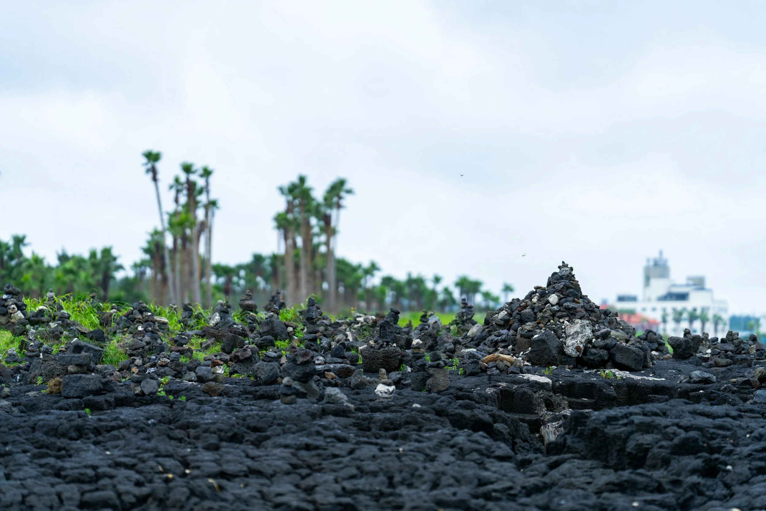Carbon Quality Over Carbon Volume