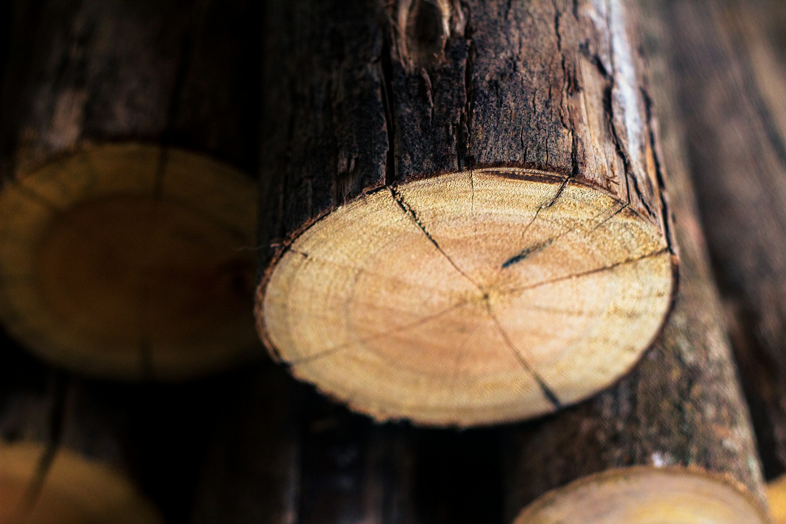 forestry, restoration, sustainable agriculture and water resilience