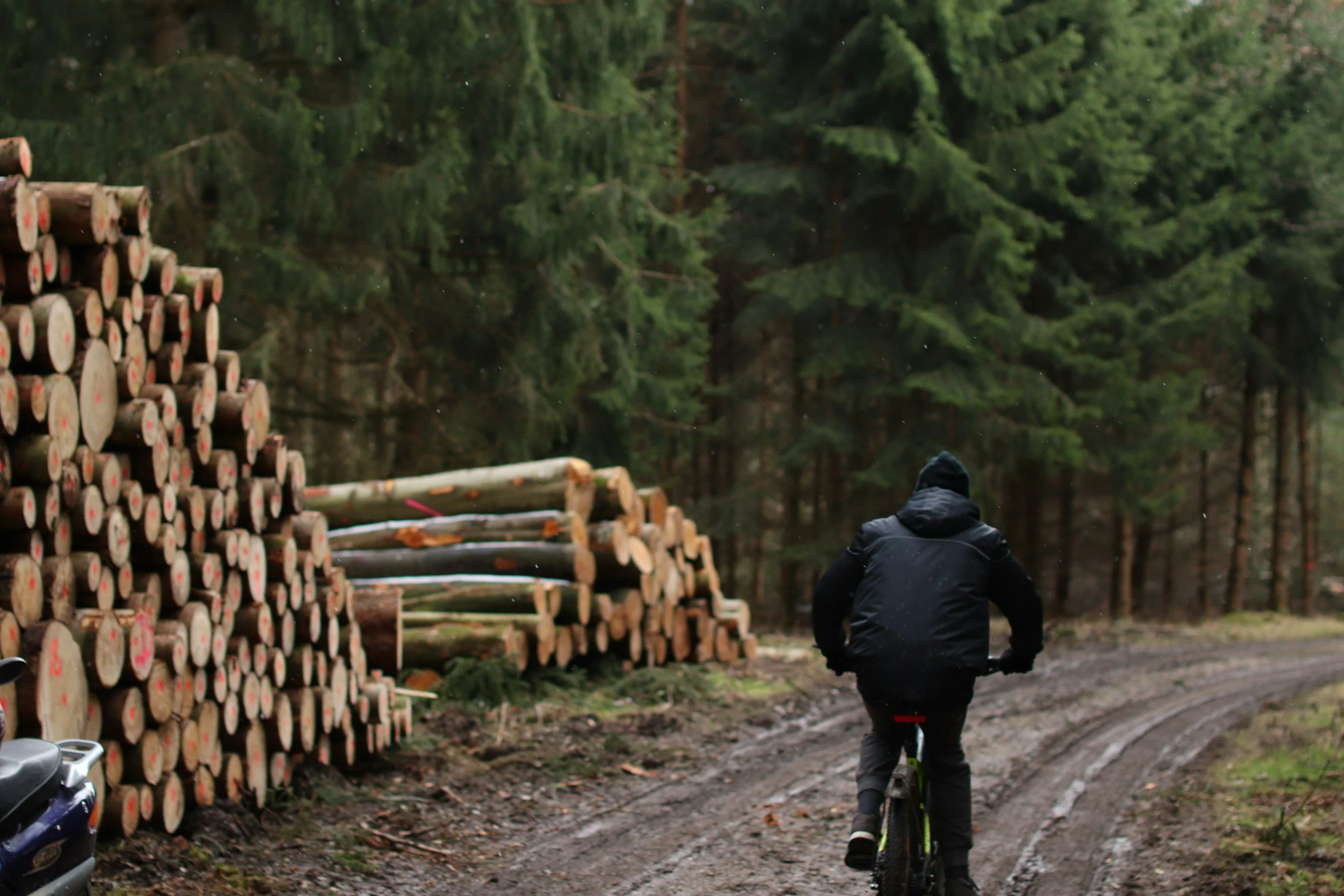 forestry, restoration, sustainable agriculture and water resilience
