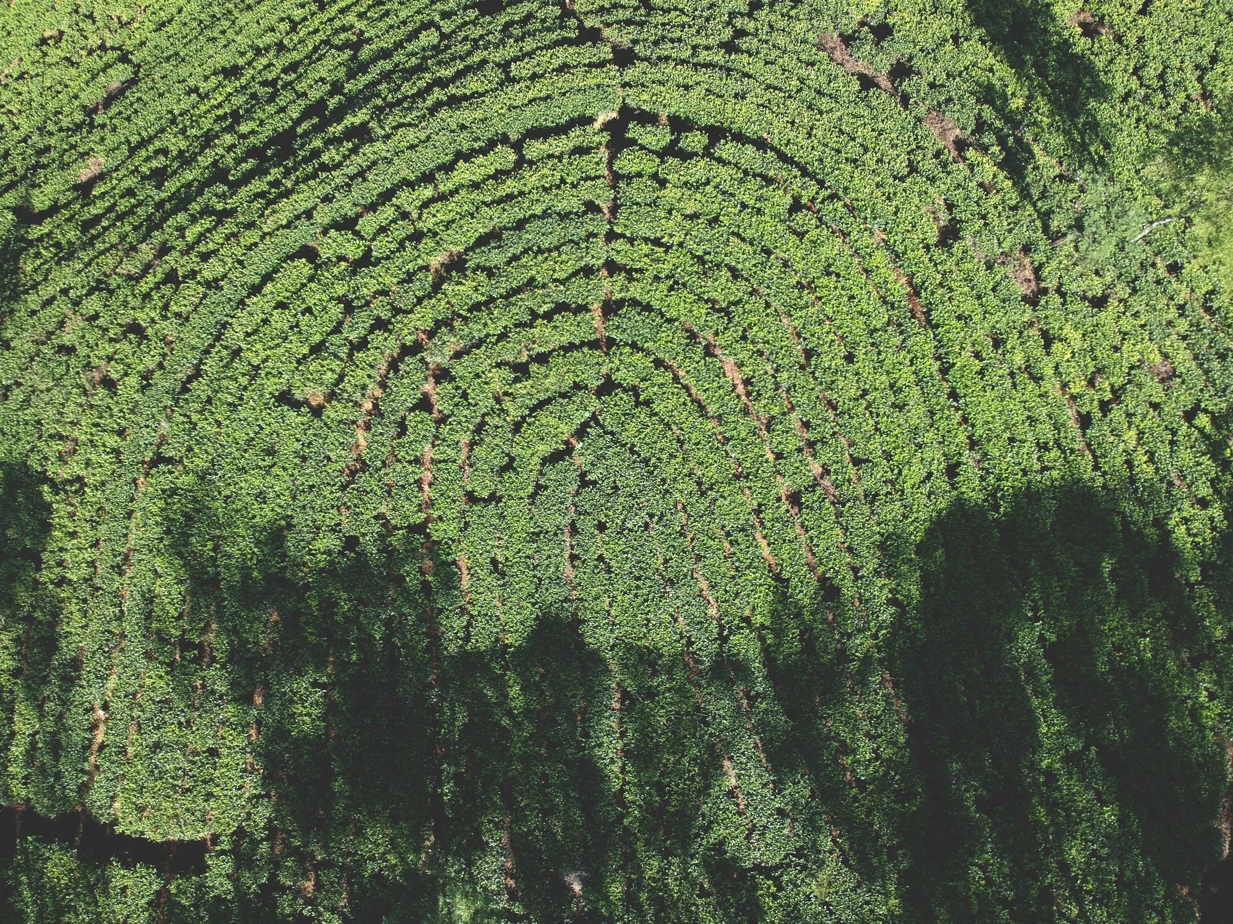 Ground Truth: A Decade of Private Capital Flowing Into Nature