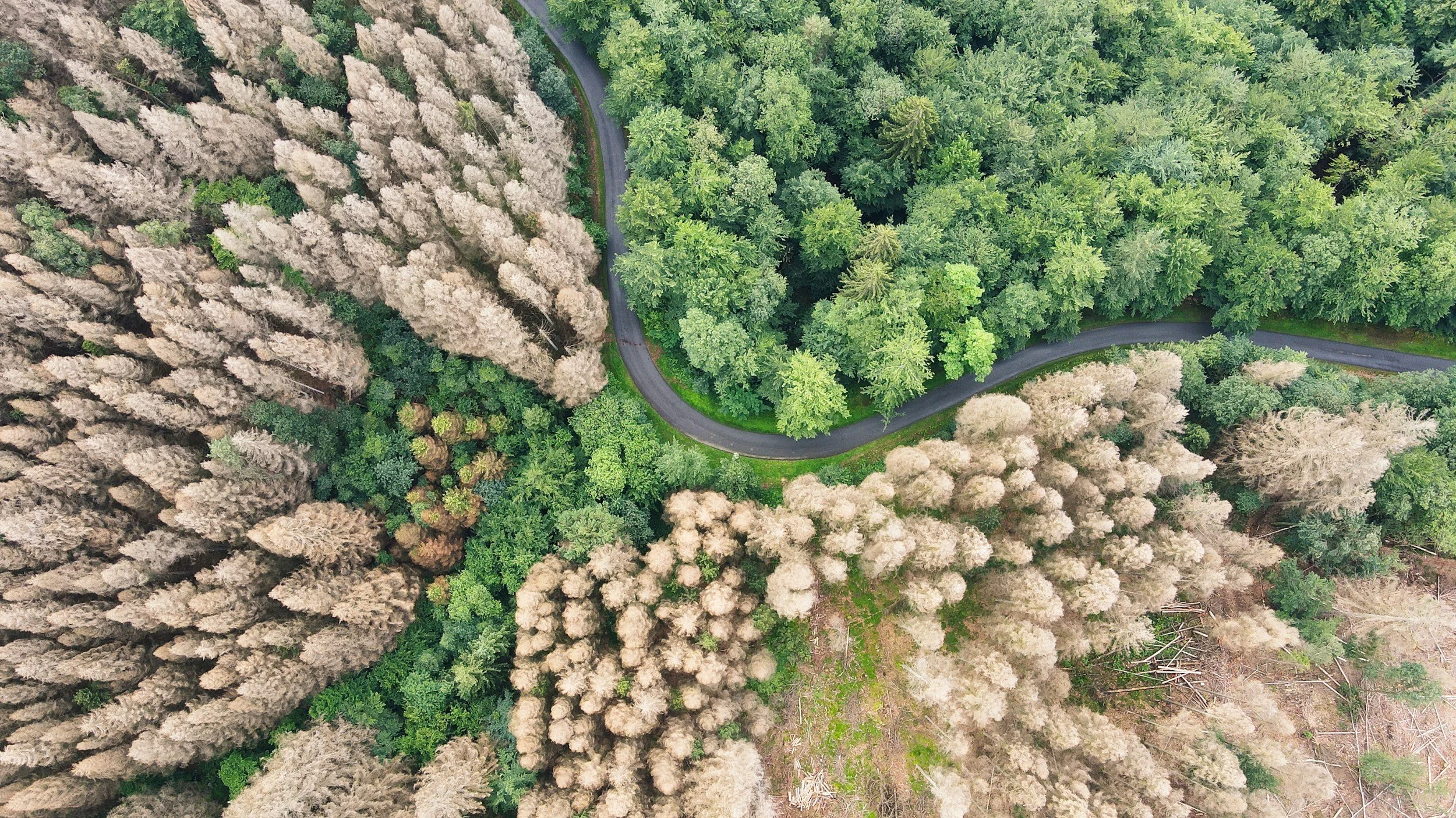 Why Scarcity Is Rewriting the Rules of Natural Resources