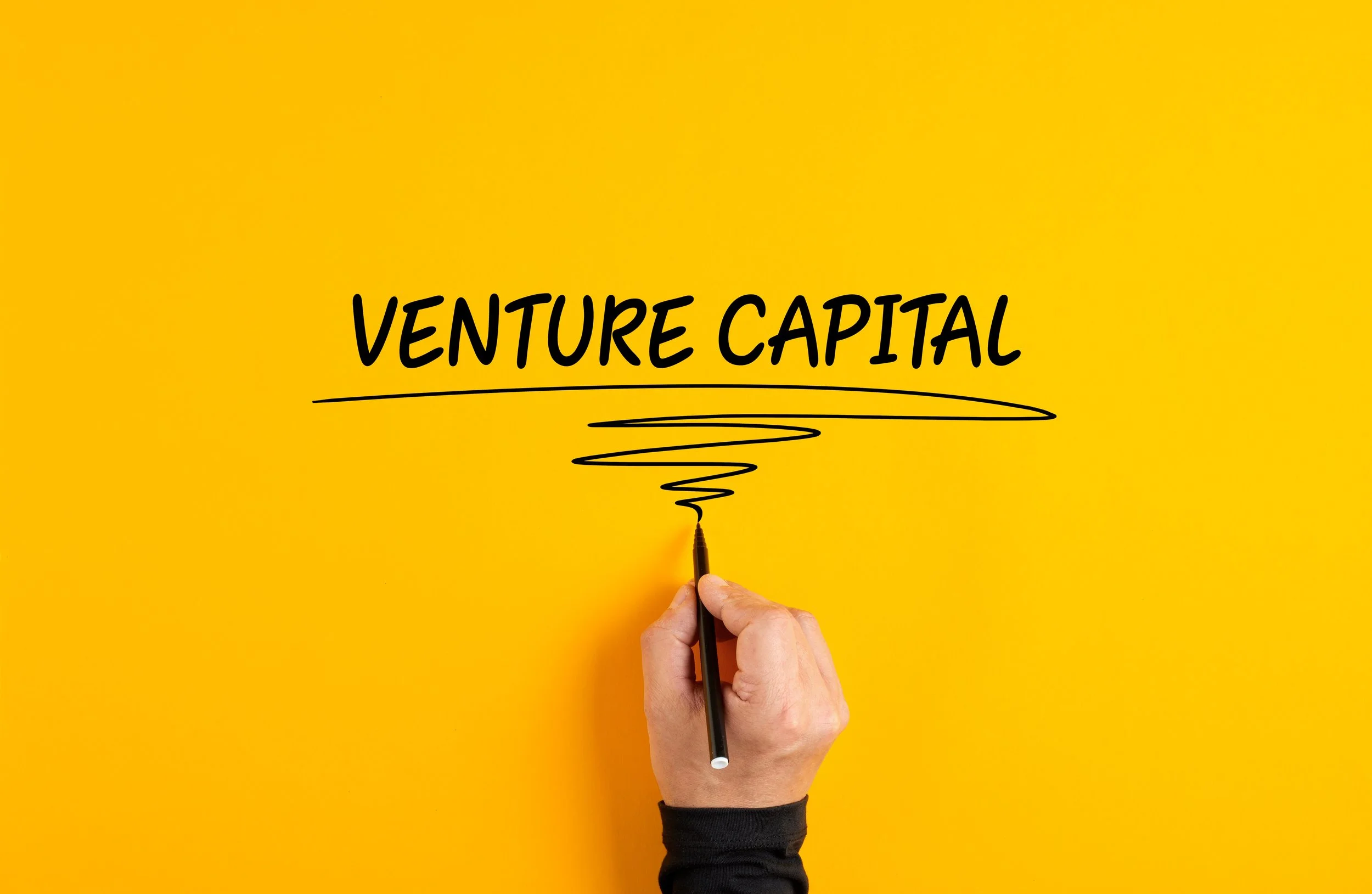 Embracing the Venture Mindset: Insights from Industry Experts