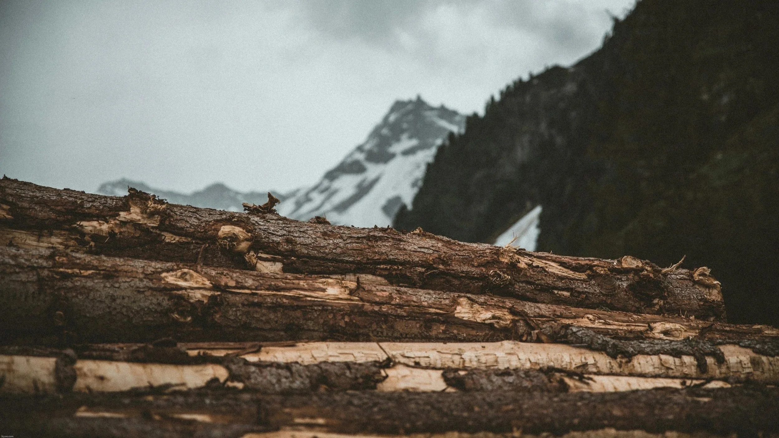 forestry, restoration, sustainable agriculture and water resilience