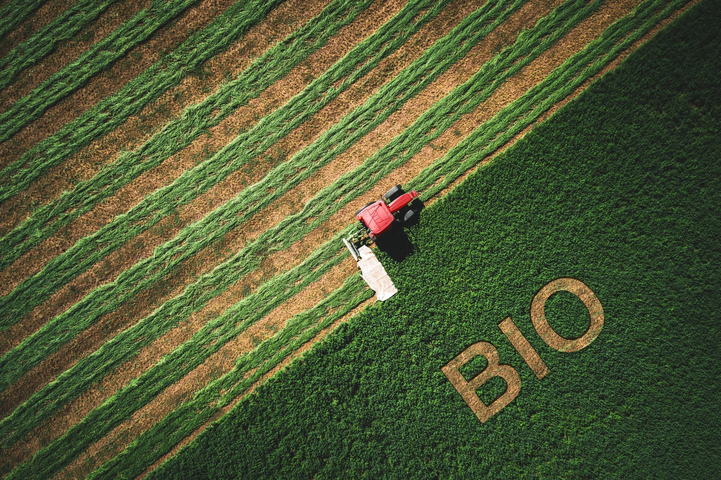 Embracing the Bioeconomy: A Path to Sustainable Development