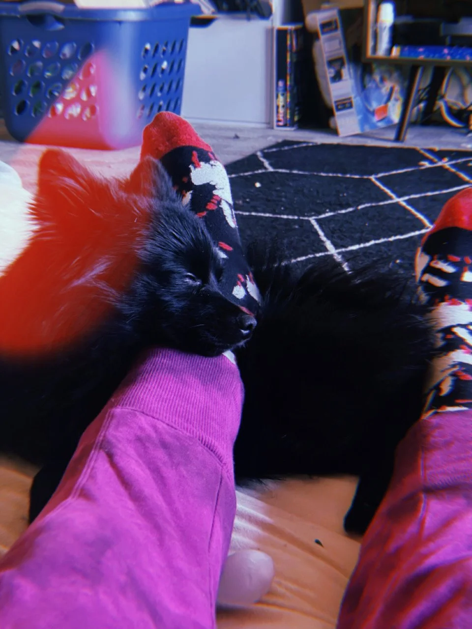 2022-11-27 18:47:34.943.JPG