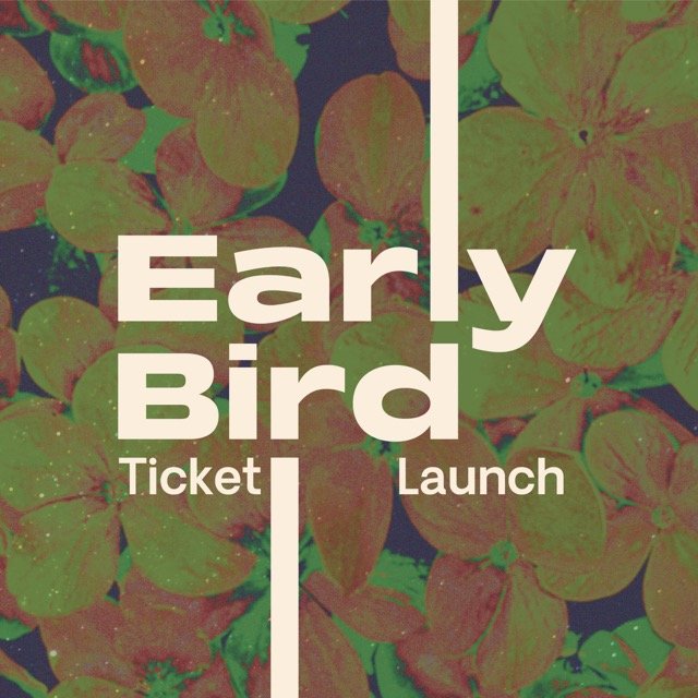 launch-17 Medium.jpeg