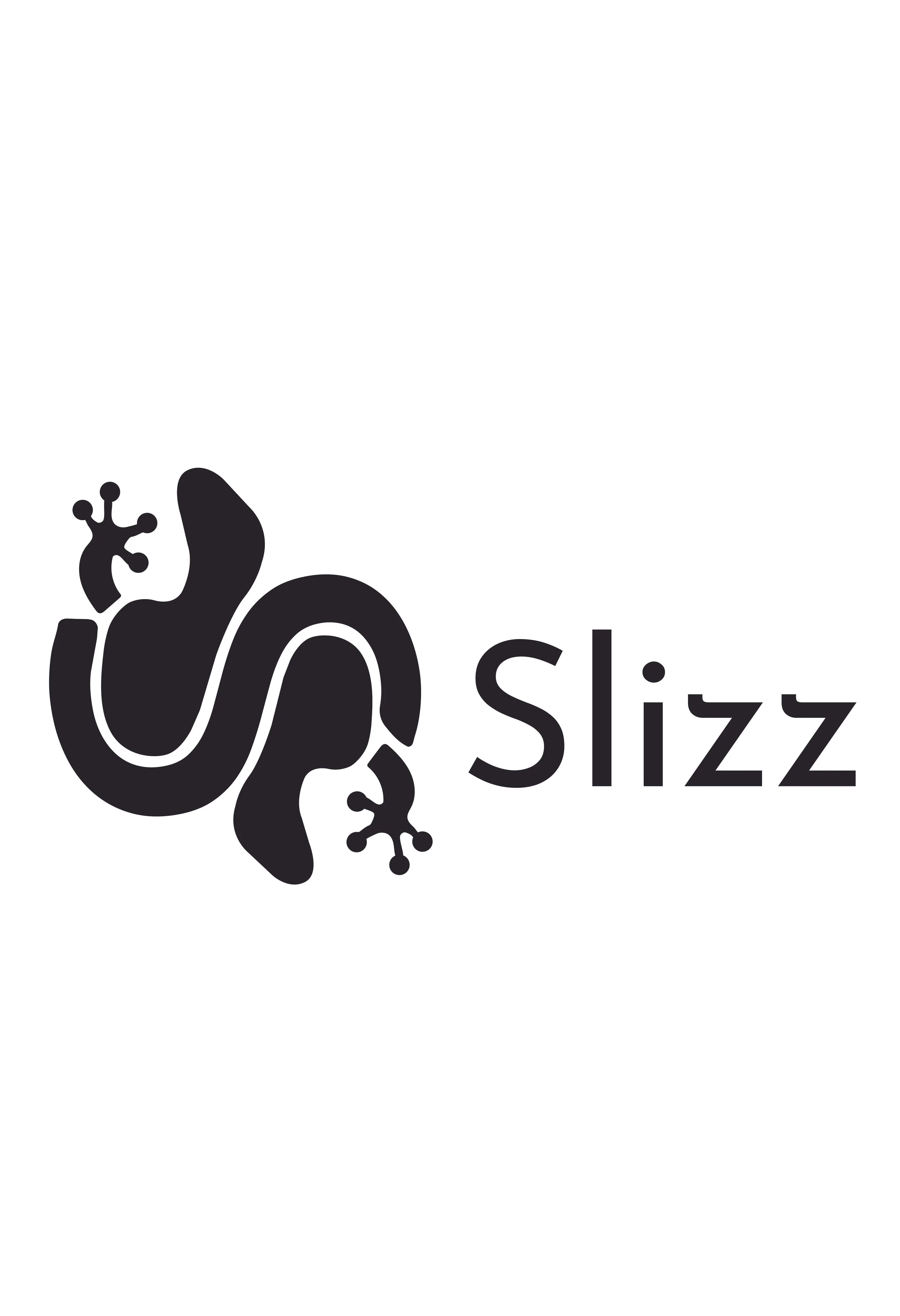 slizz-02.jpg