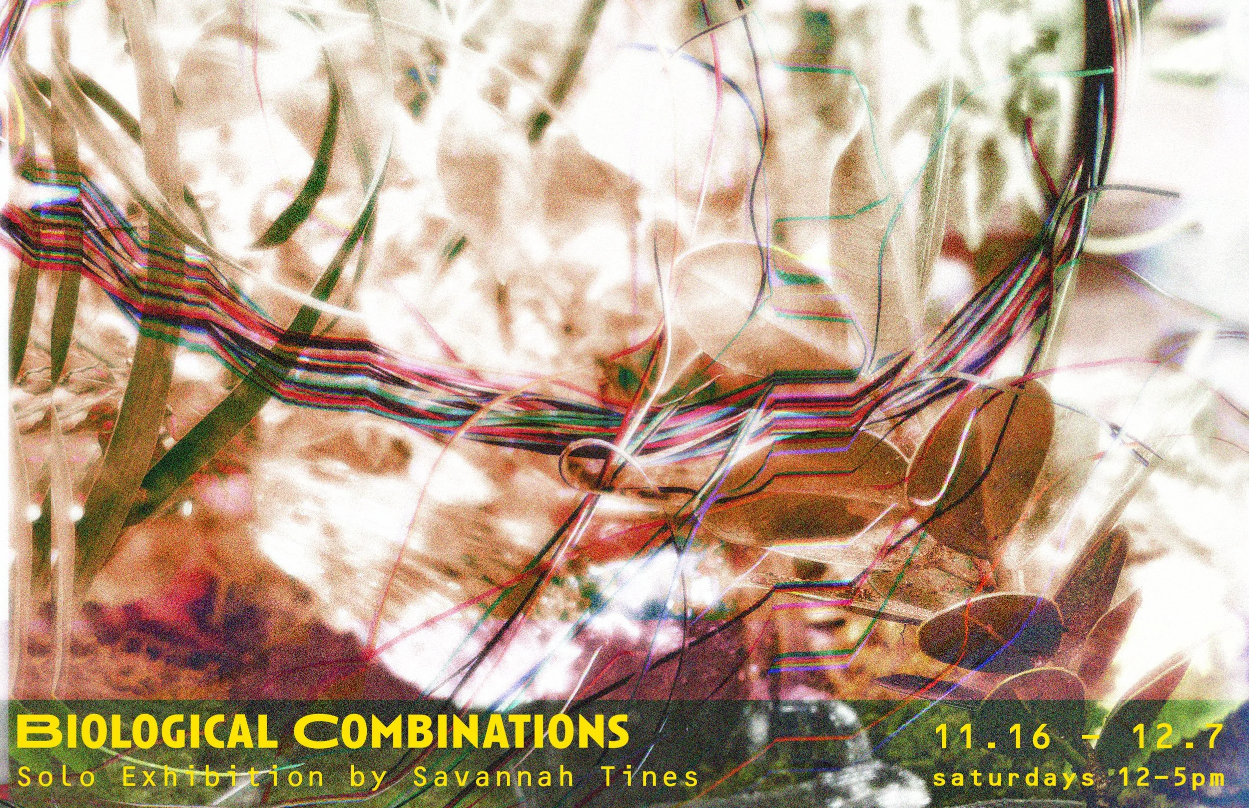 Biological Combinations2 copy.jpg
