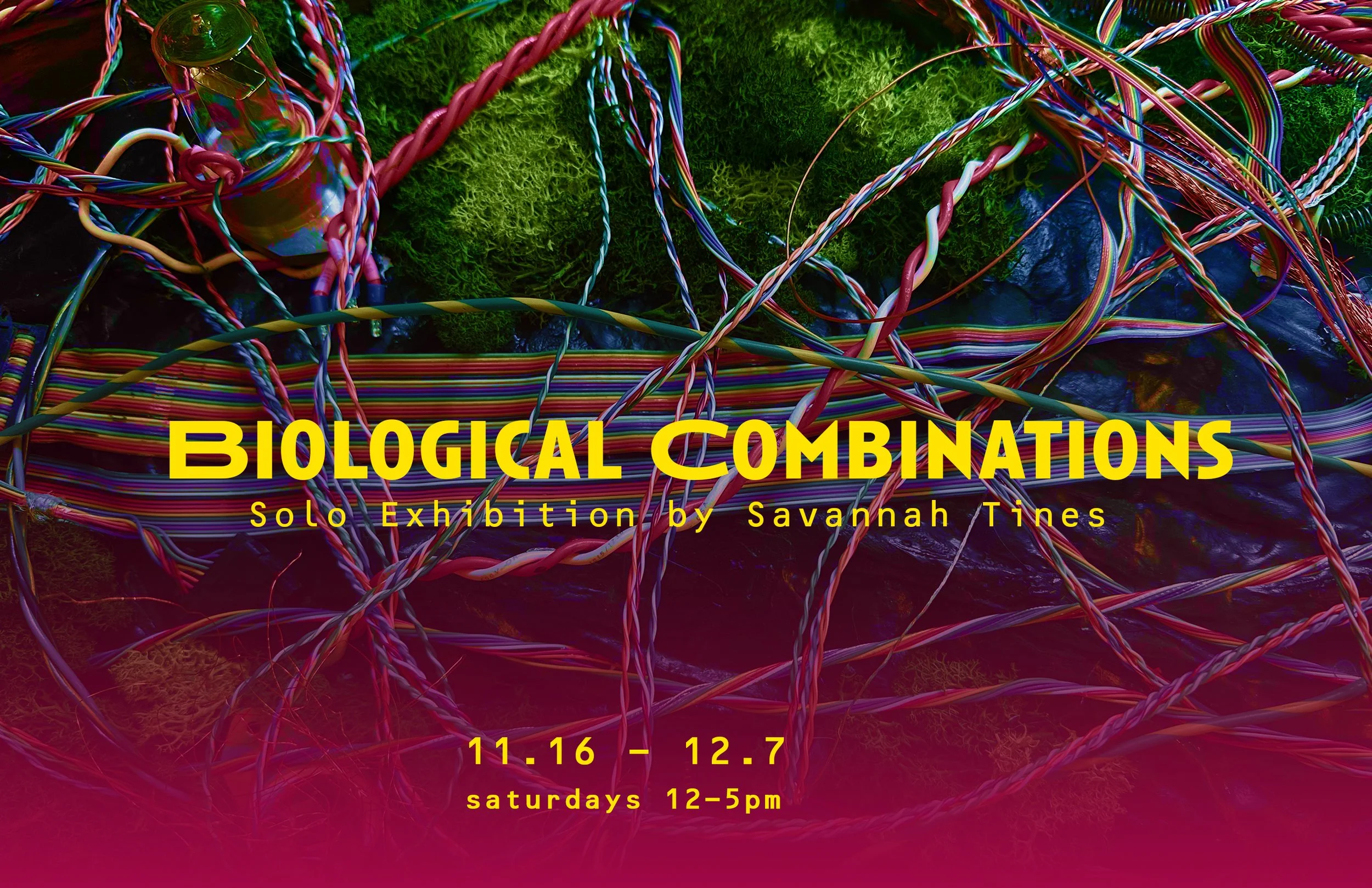 Biological Combinations3 copy.jpg