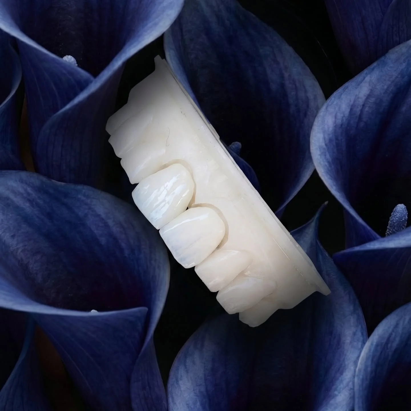 Are you looking for beautiful natural restorations for your patients?