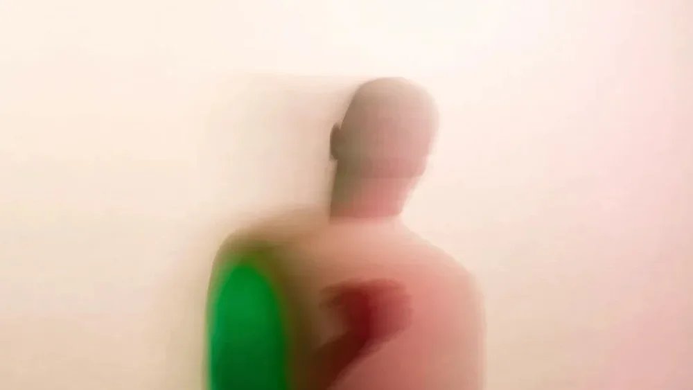 concert: the hidden cameras