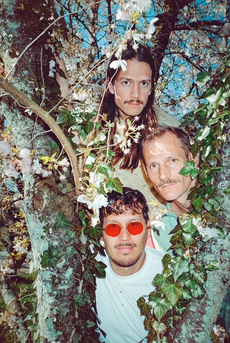 concert: Löwenzahnhonig