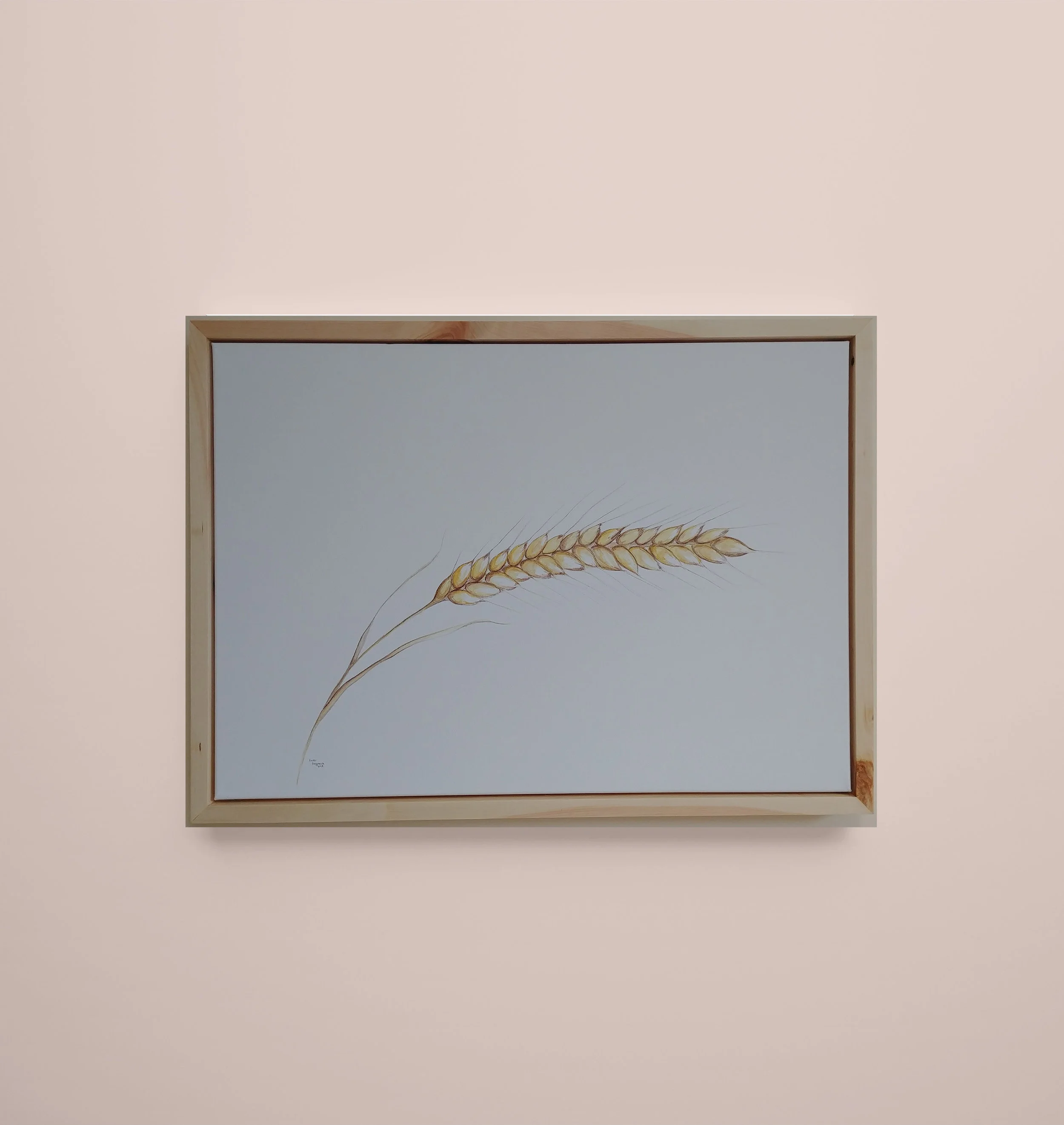 The Bailey's | SOLD |